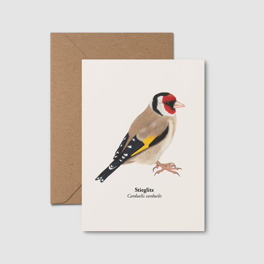 Stieglitz Kunstpostkarte DIN A6, handgezeichnete Illustration von Carduelis carduelis auf cremefarbenem Hintergrund