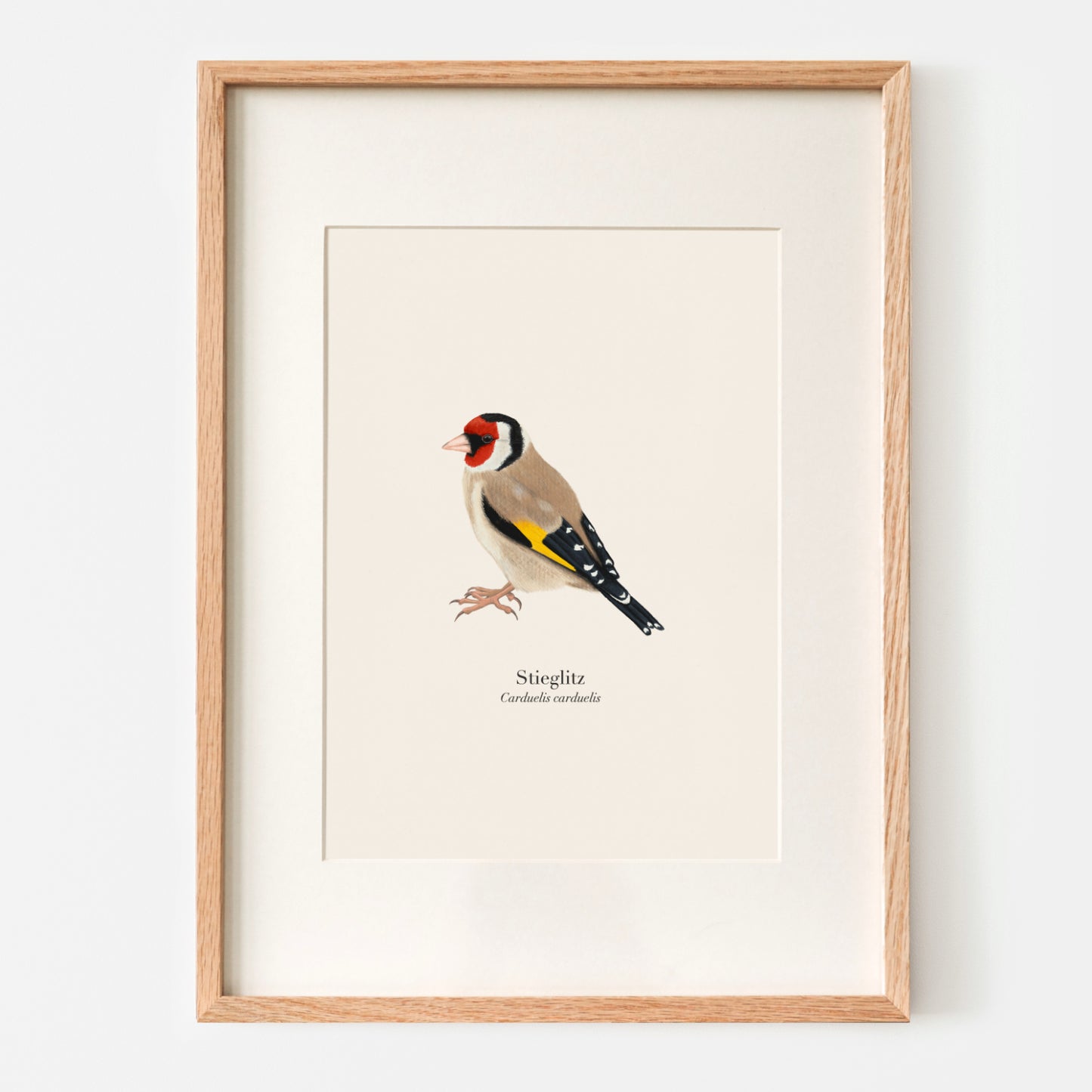 Stieglitz Poster A4 gerahmt mit Passepartout, Distelfink Vogel Illustration