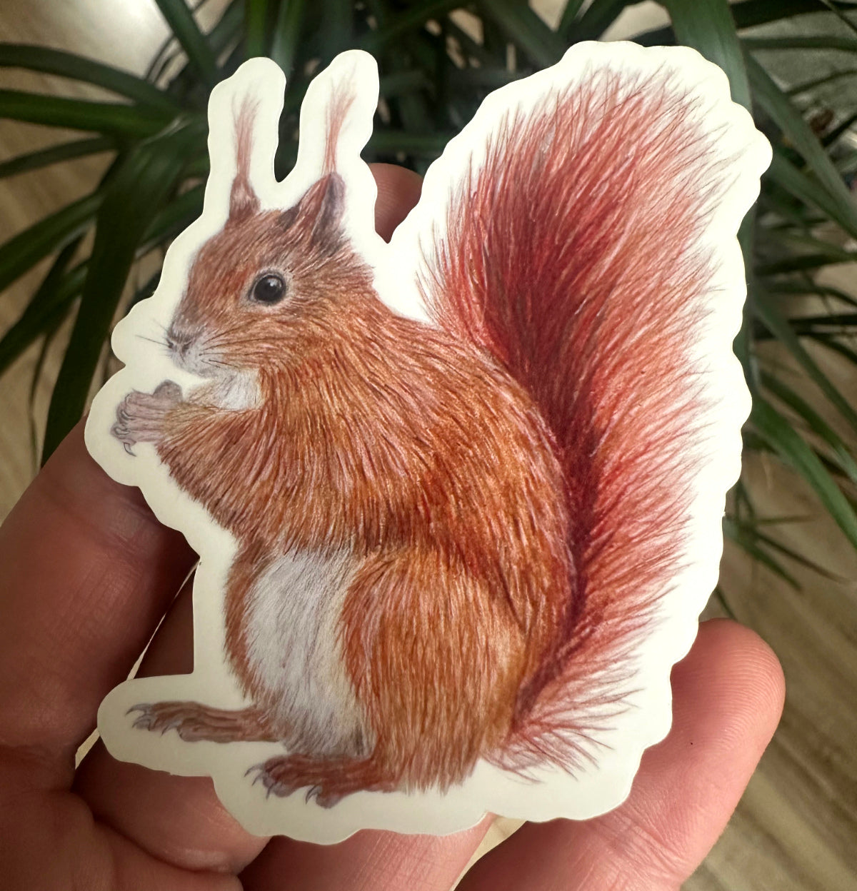 Vinyl Sticker mit Eichhörnchen Illustration