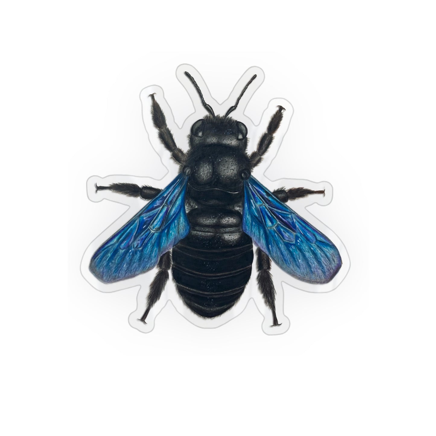Konturgeschnittener Vinyl Sticker mit Blauer Holzbiene