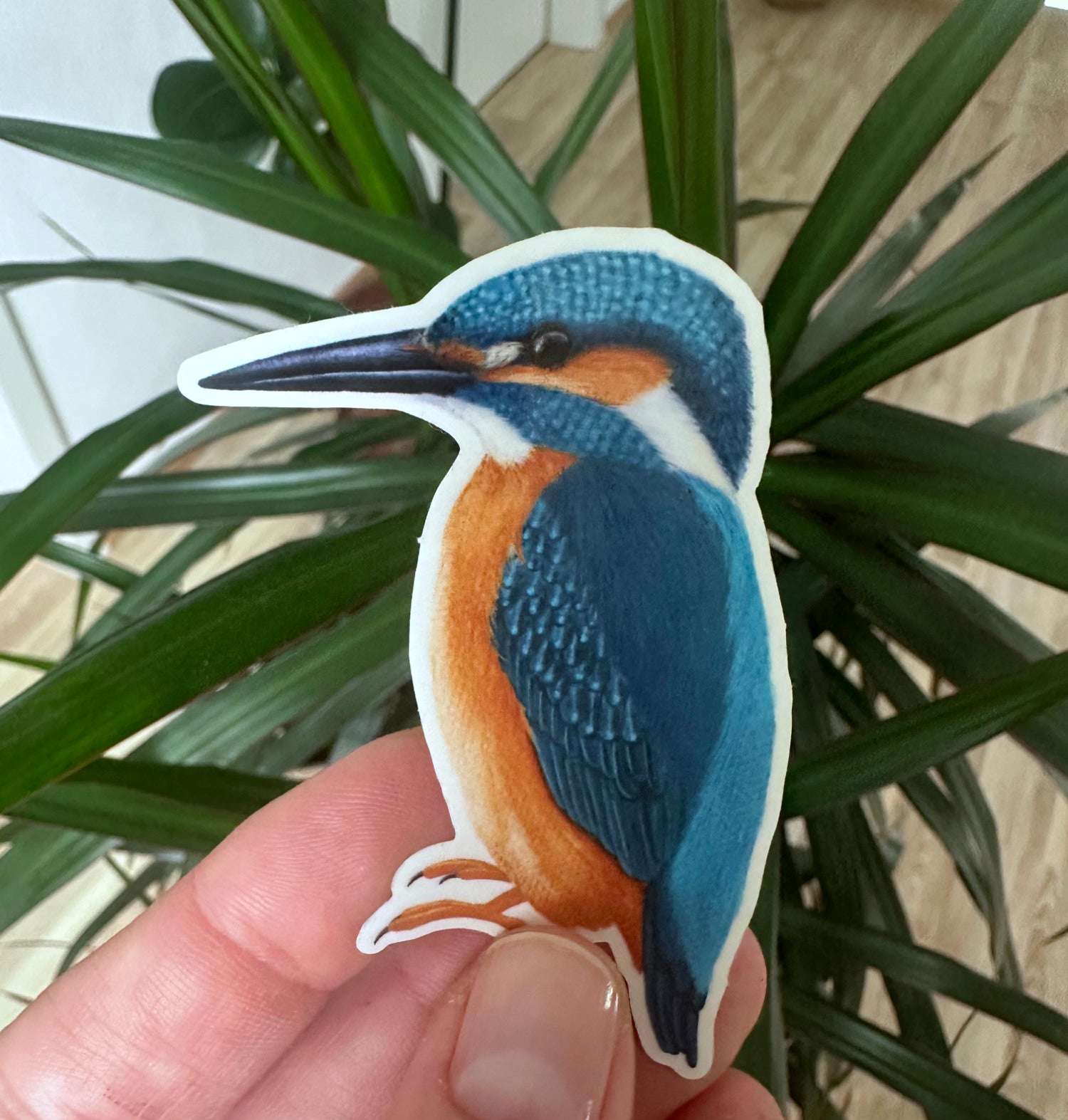 Kleine Illustration des Eisvogels als handgezeichneter Sticker