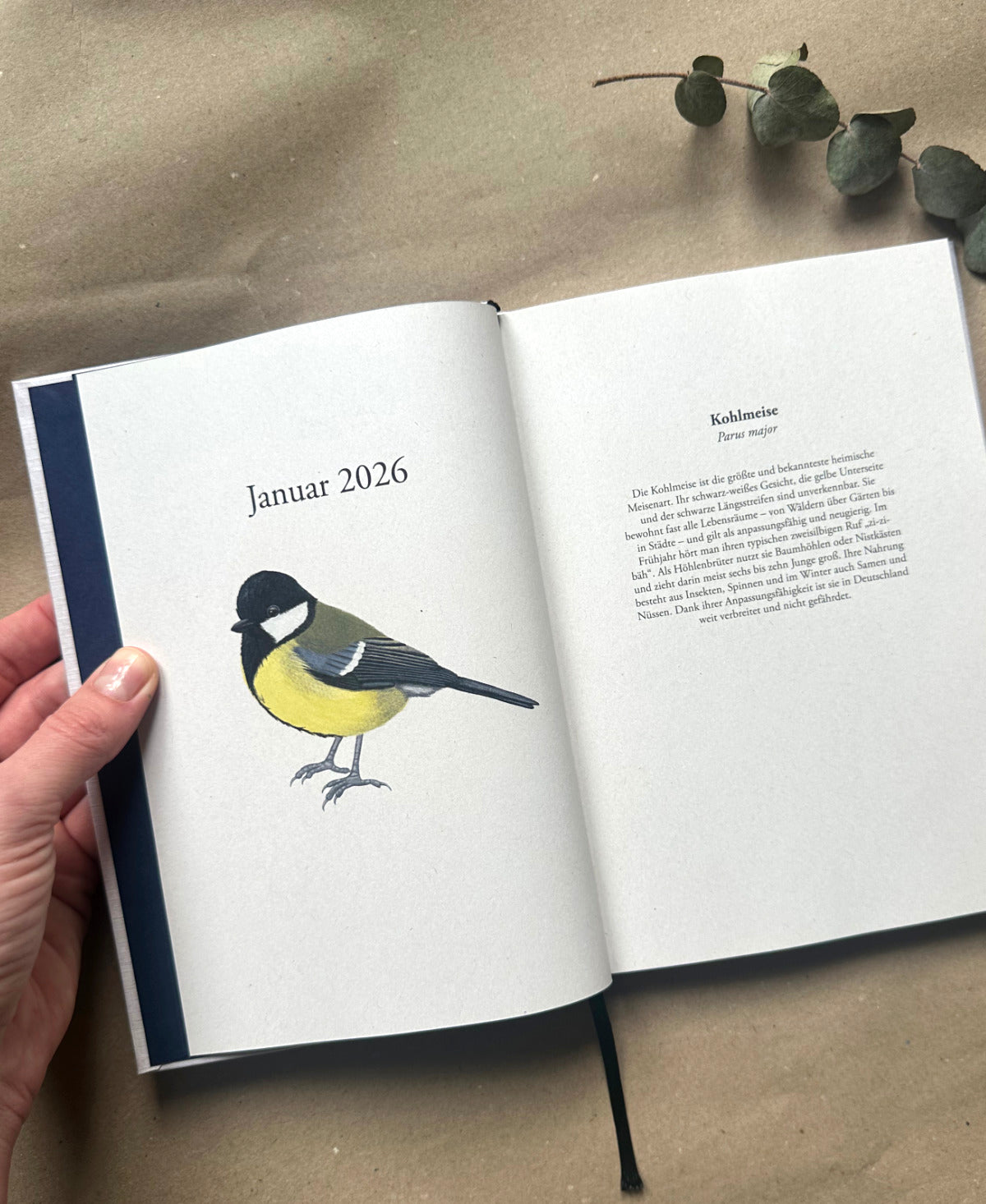 Vogel Planer 2026 – Nachhaltiger Terminplaner im A5-Format mit Illustrationen heimischer Vögel