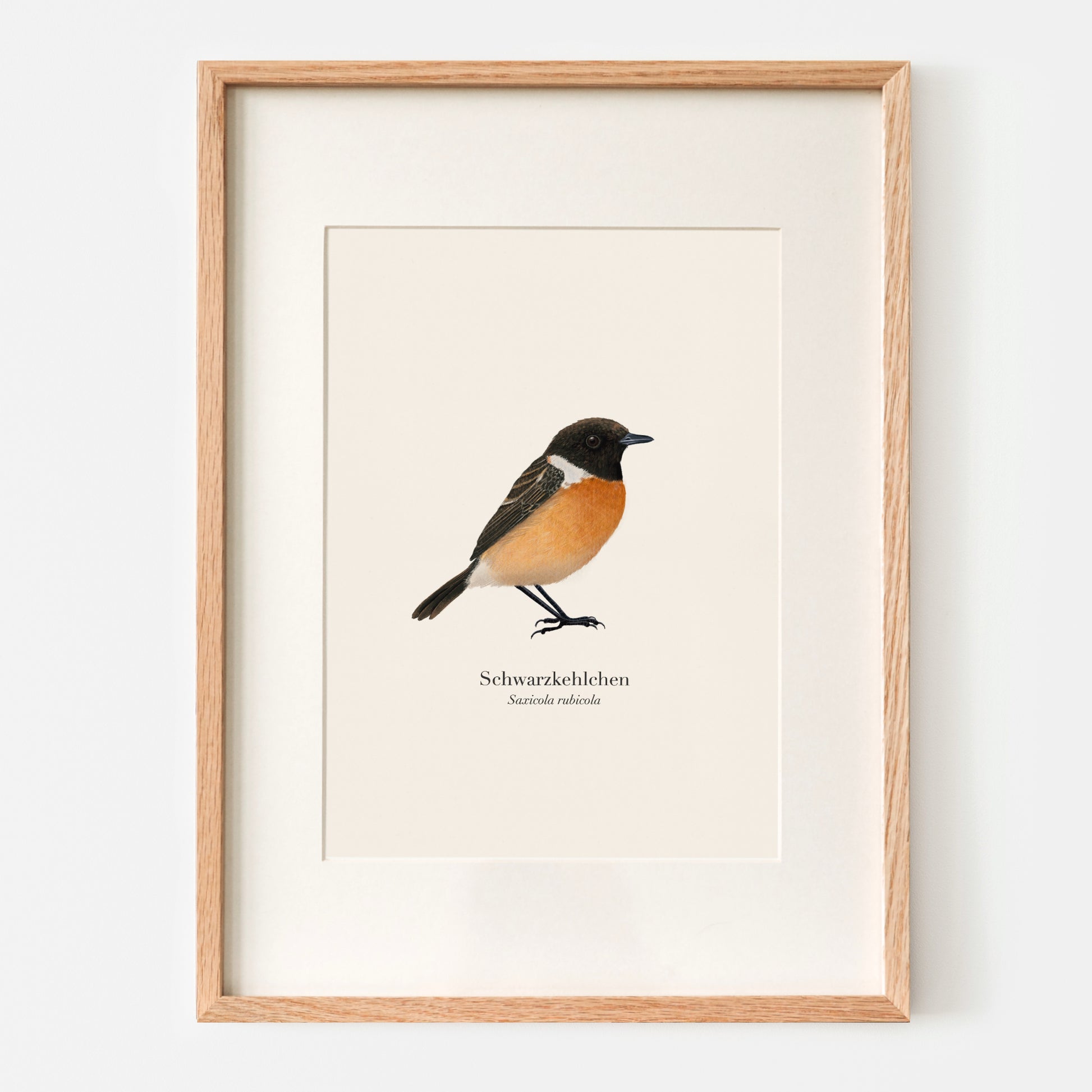 Handgezeichnete Vogel Zeichnung – Schwarzkehlchen im Holzrahmen