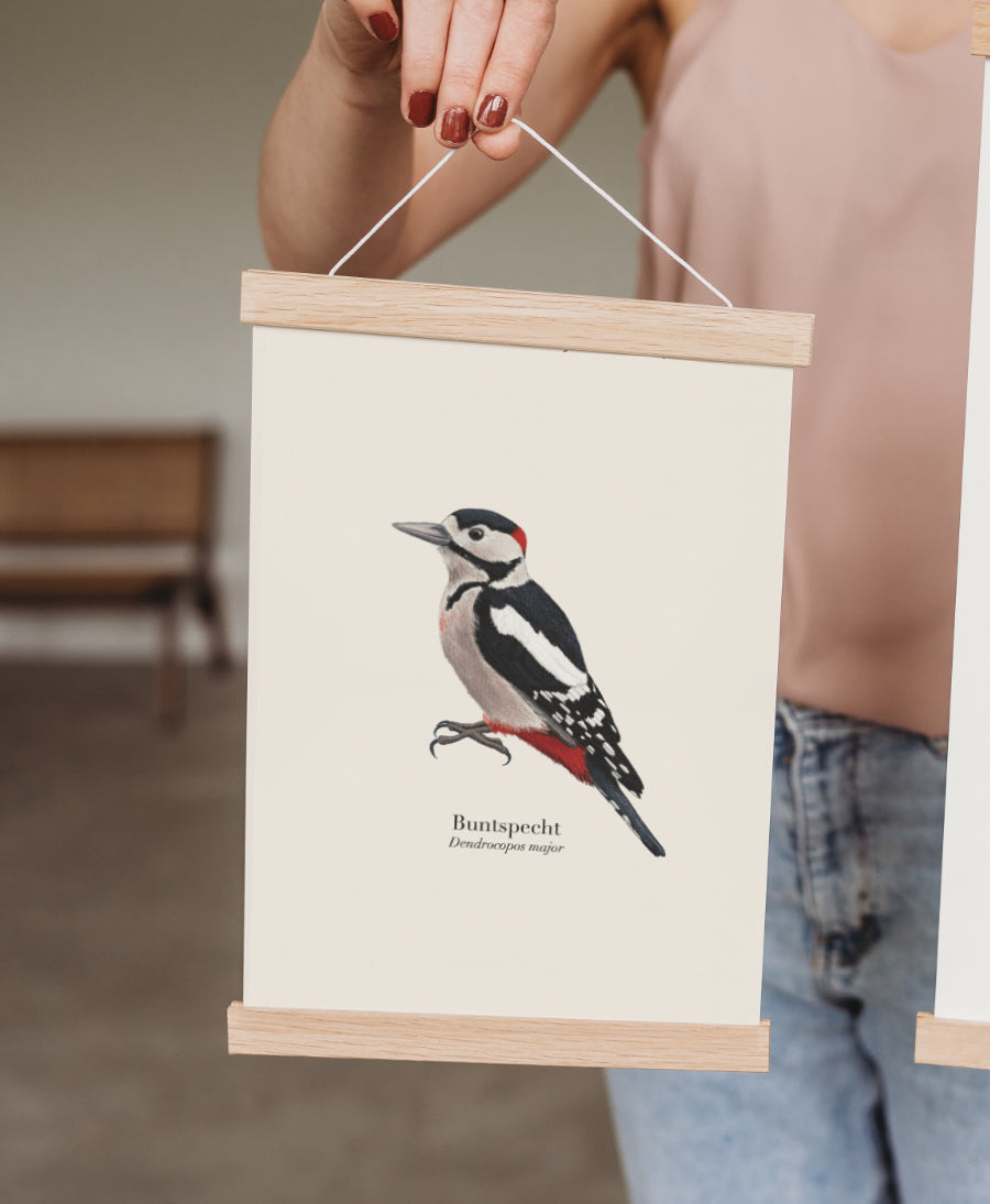 Buntspecht Poster in magnetischer Posterleiste aus Eiche, Wandkunst Kinderzimmer