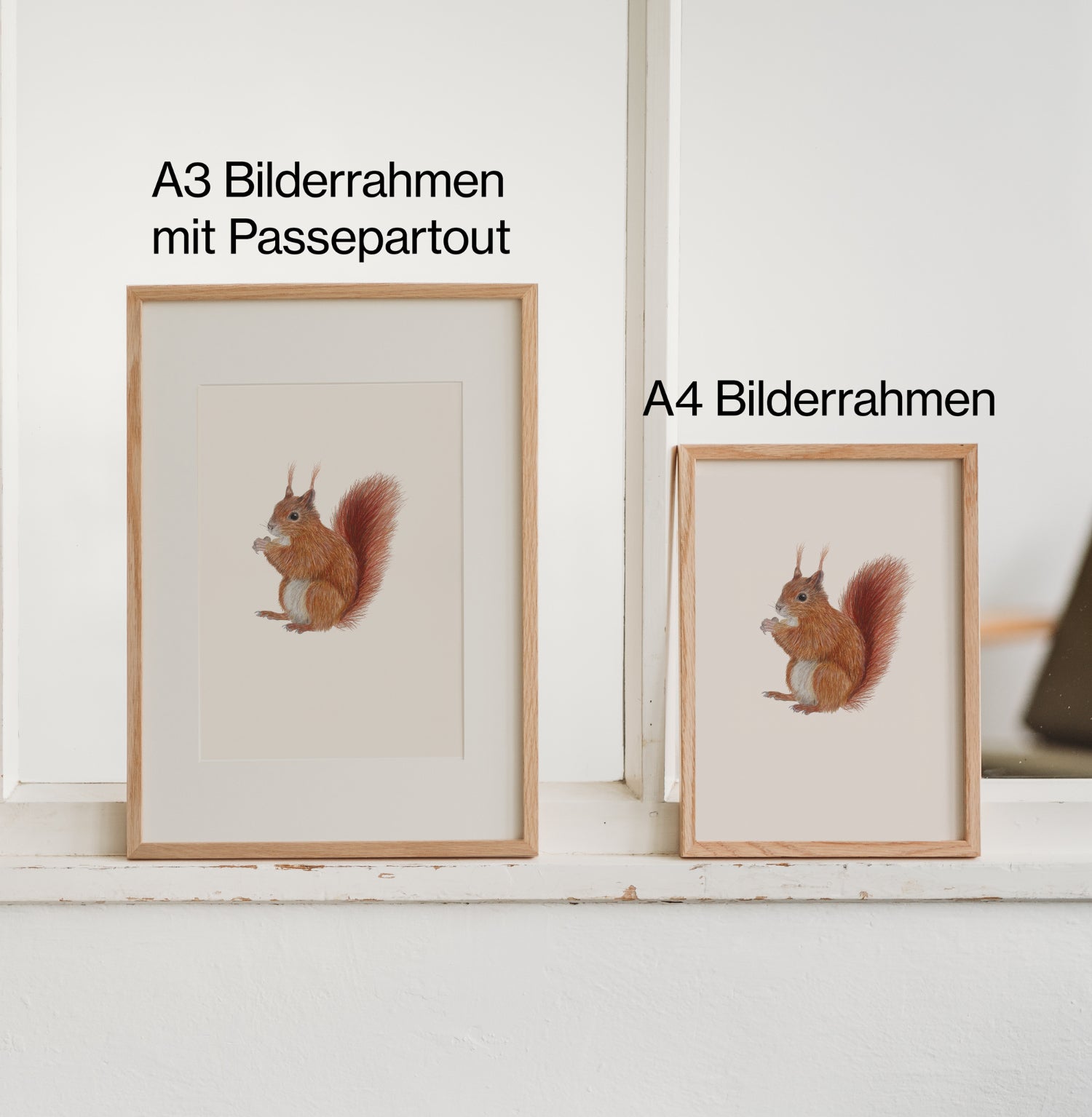 Vergleich A3 mit Passepartout und A4 Bilderrahmen mit Eichhörnchen Zeichnung
