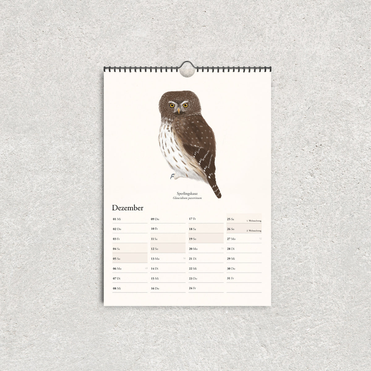 Januar im Vogelkalender 2027 mit handgezeichneter Steinkauz-Illustration und übersichtlichem Kalendarium