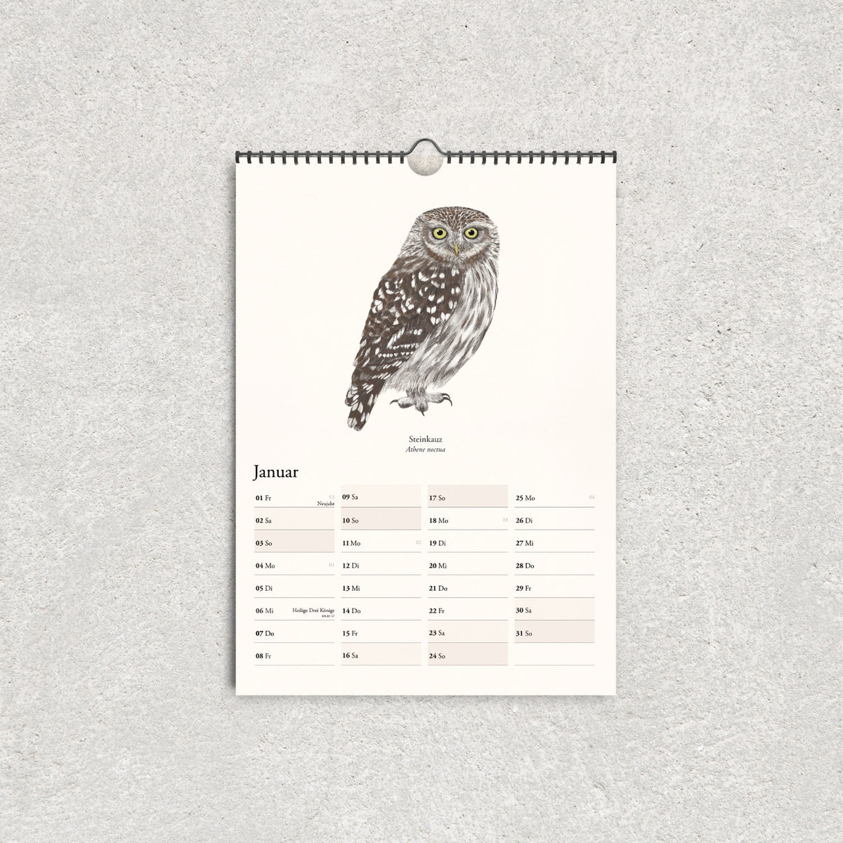 Januar im Vogelkalender 2027 mit handgezeichneter Steinkauz-Illustration und übersichtlichem Kalendarium