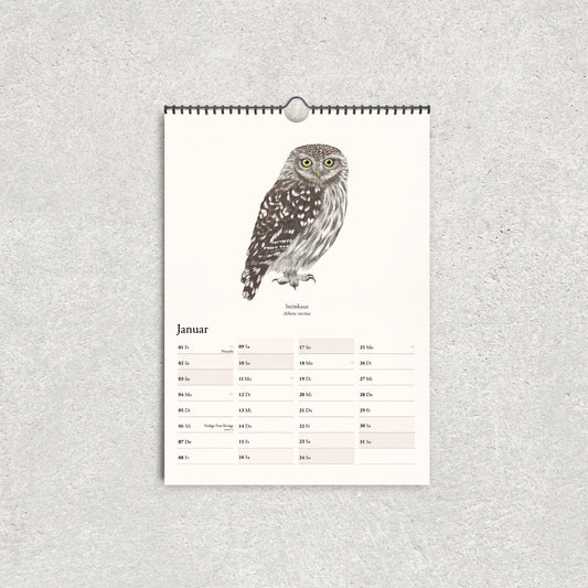 Januar im Vogelkalender 2027 mit handgezeichneter Steinkauz-Illustration und übersichtlichem Kalendarium