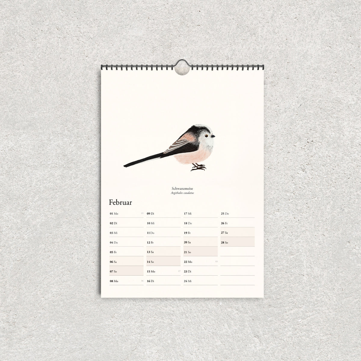 Februar-Kalenderblatt mit handgezeichneter Schwanzmeise im illustrierten Vogelkalender 2027