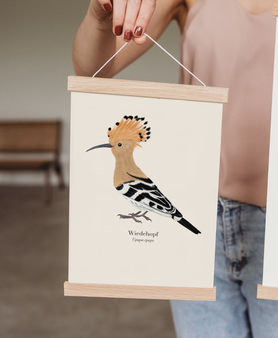 Wiedehopf Poster mit magnetischer Posterleiste aus Holz