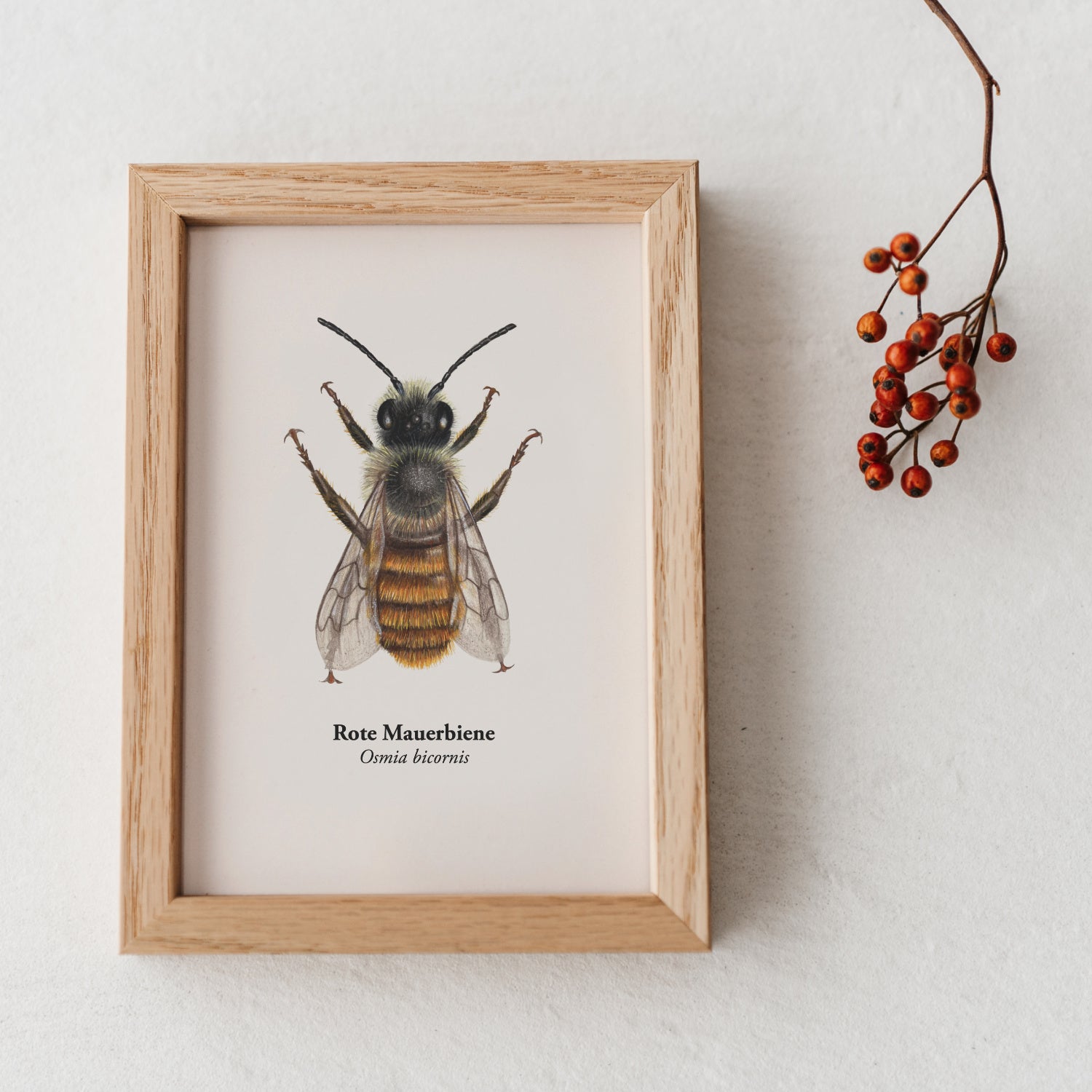 Postkarte mit Bienenmotiv dekorativ gerahmt als Mini-Kunstdruck