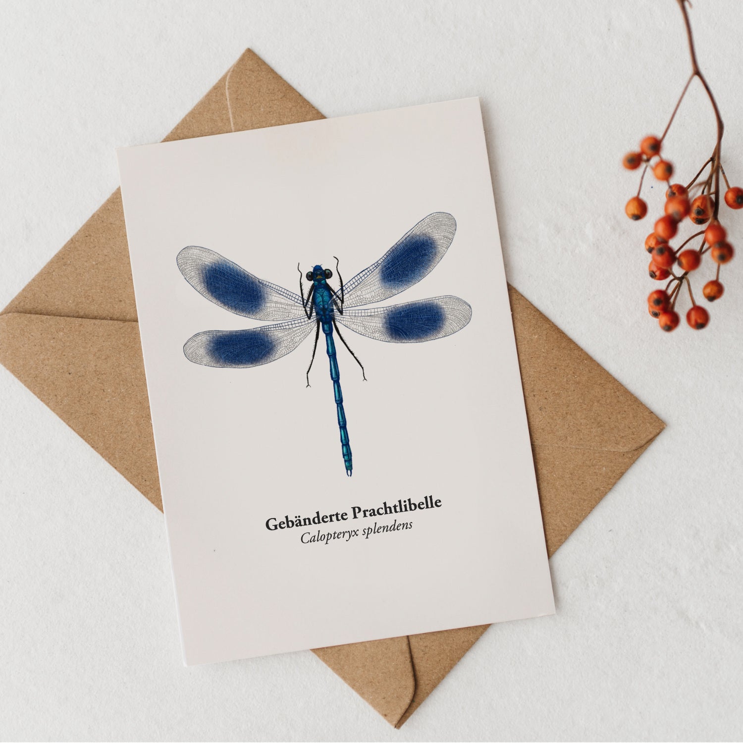 Handgezeichnete blaue Libelle als Naturpostkarte