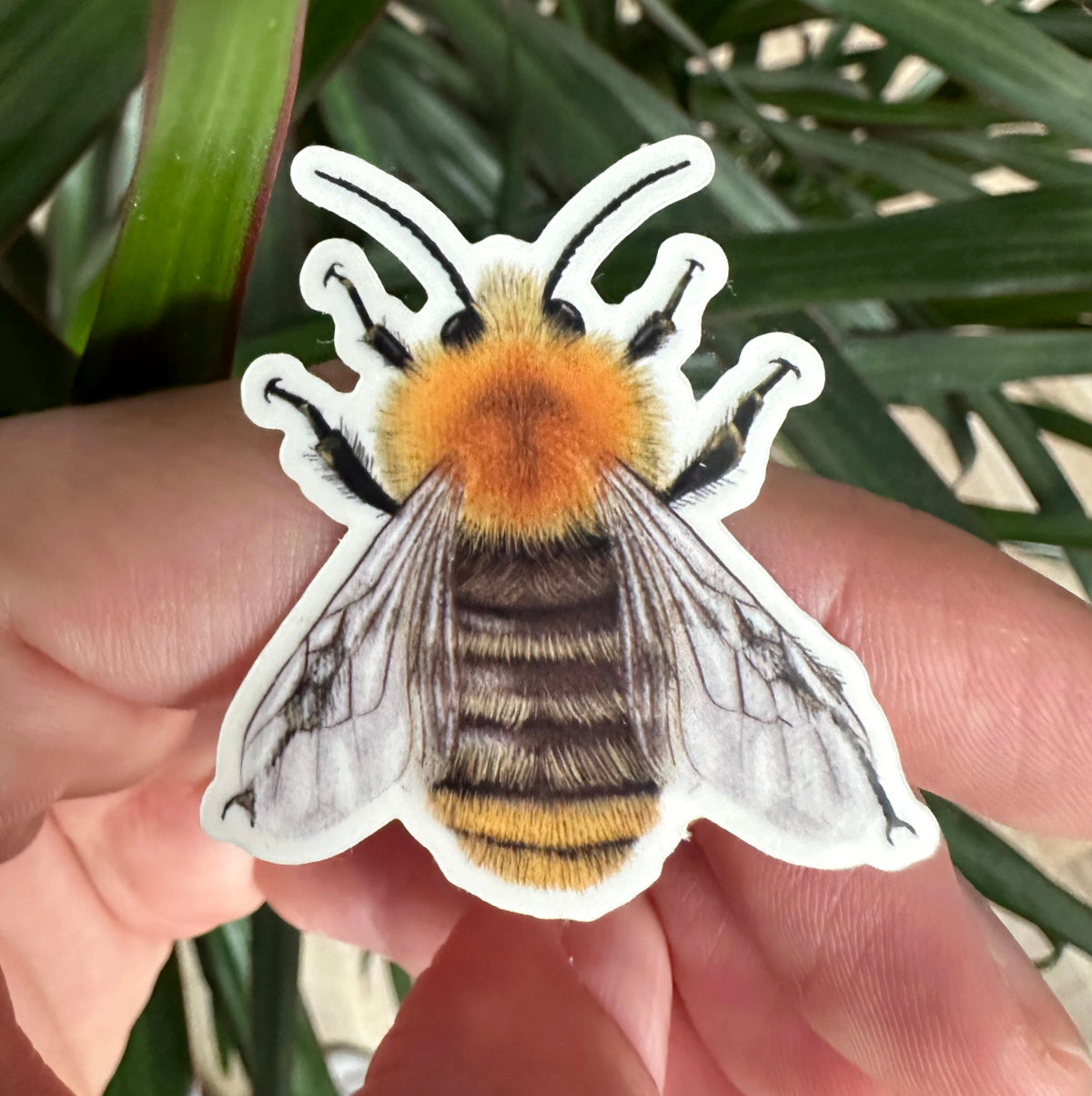 ackerhummel aufkleber