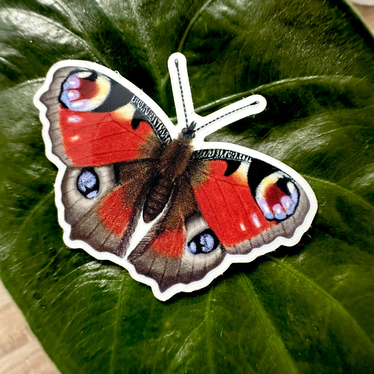 Tagpfauenauge Sticker mit realistischer Illustration aus wasserfestem Vinyl