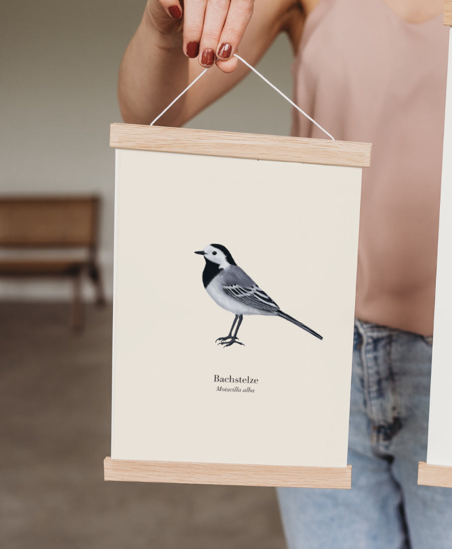 Bachstelze Kunstdruck in magnetischer Posterleiste aus Holz