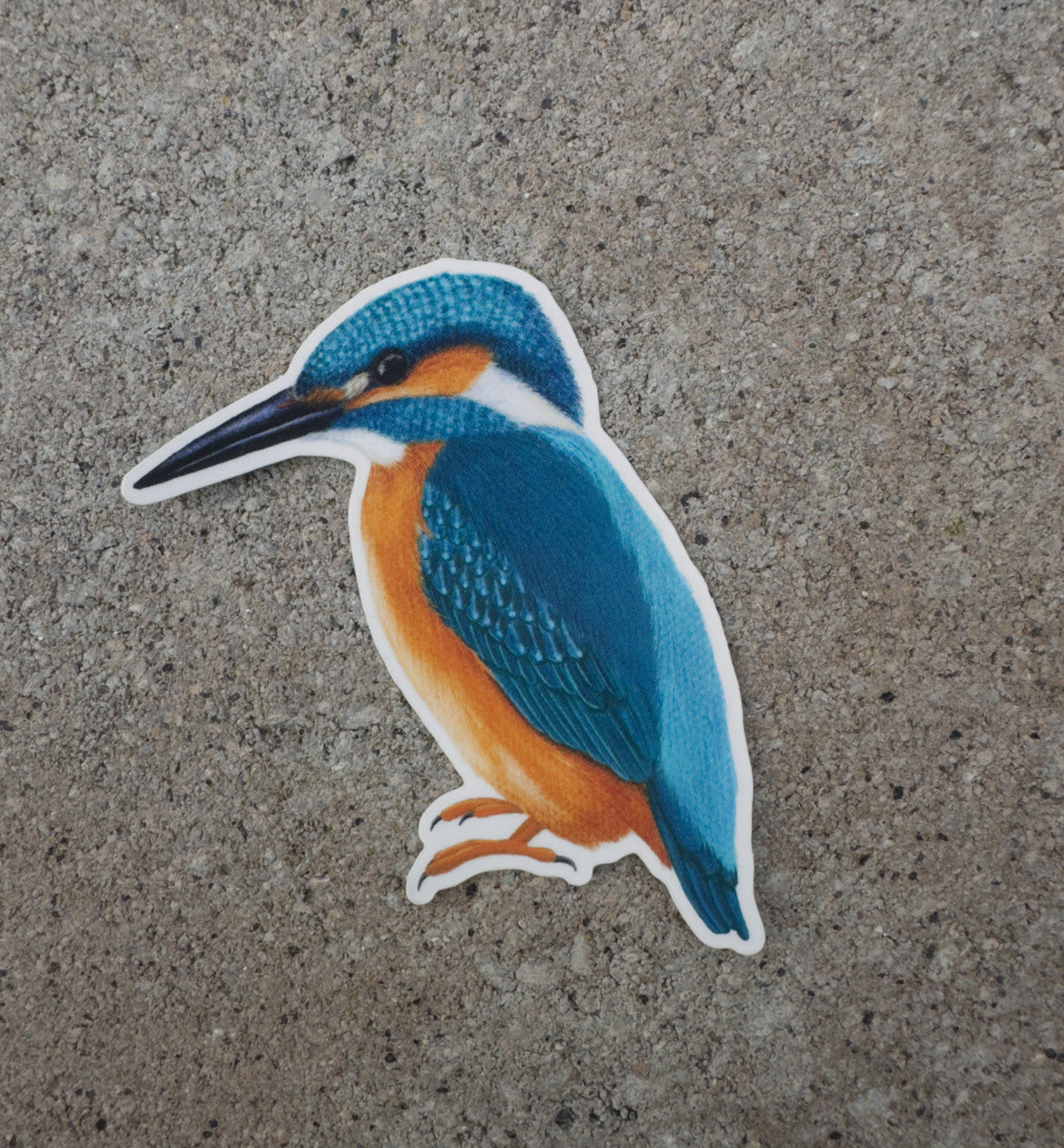 Eisvogel Vinyl Sticker Notizbuch – naturinspirierte Dekoration für den Alltag.