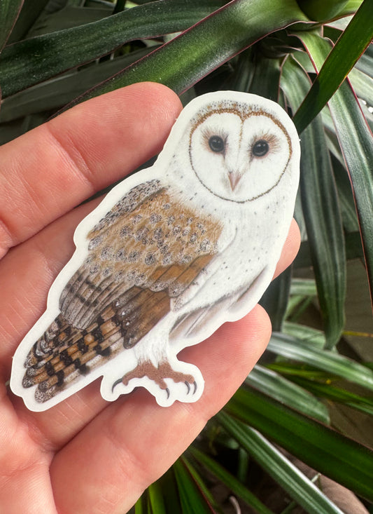 Wasserfester Schleiereule Aufkleber als transparenter Vinyl Sticker