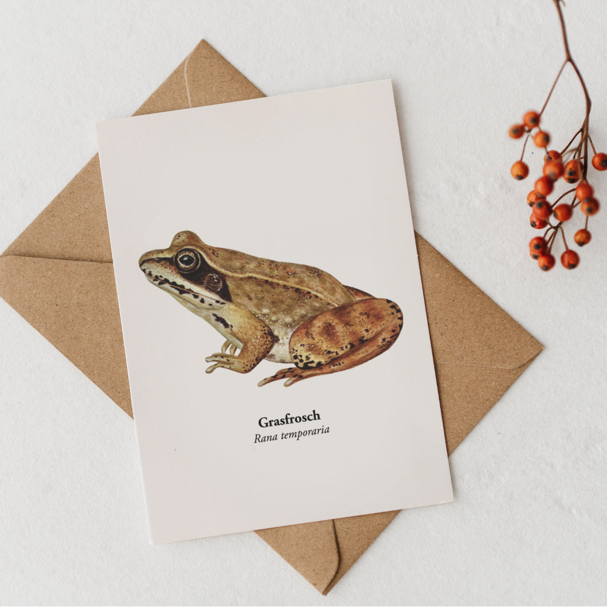 Illustrierte Grasfrosch Karte mit Kraftpapierumschlag