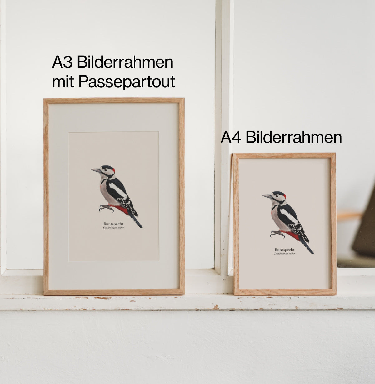 Vergleich A3 mit Passepartout und A4 Rahmen, gerahmte Naturbilder Vogel Posters