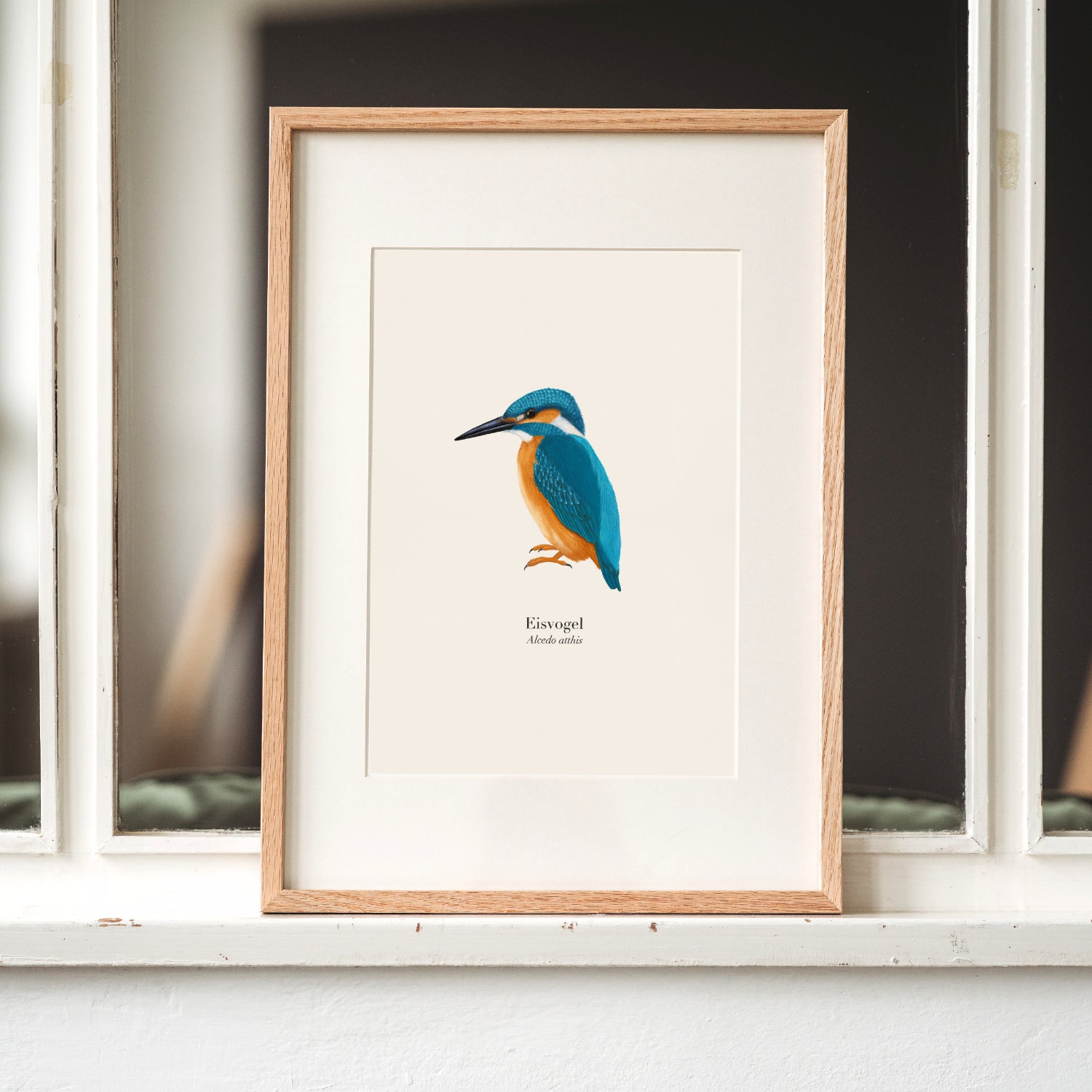 Eisvogel Poster im Holzrahmen mit Passepartout auf Fensterbrett