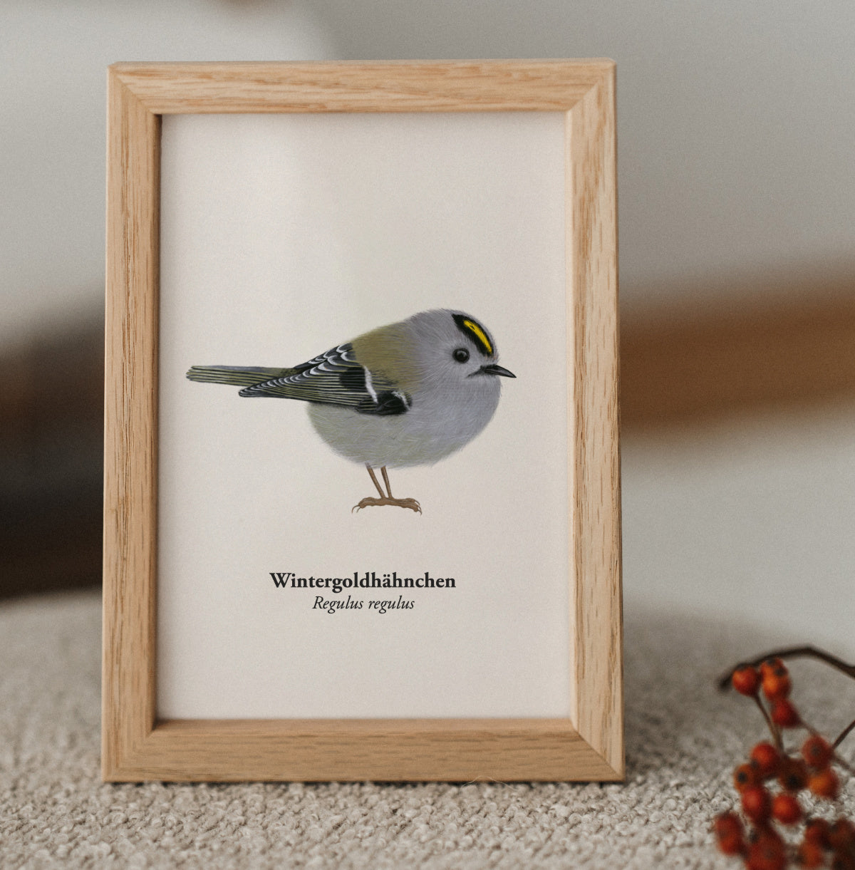 Gerahmte Wintergoldhähnchen Kunstpostkarte im Holzrahmen, Naturillustration Regulus regulus als Mini Kunstdruck