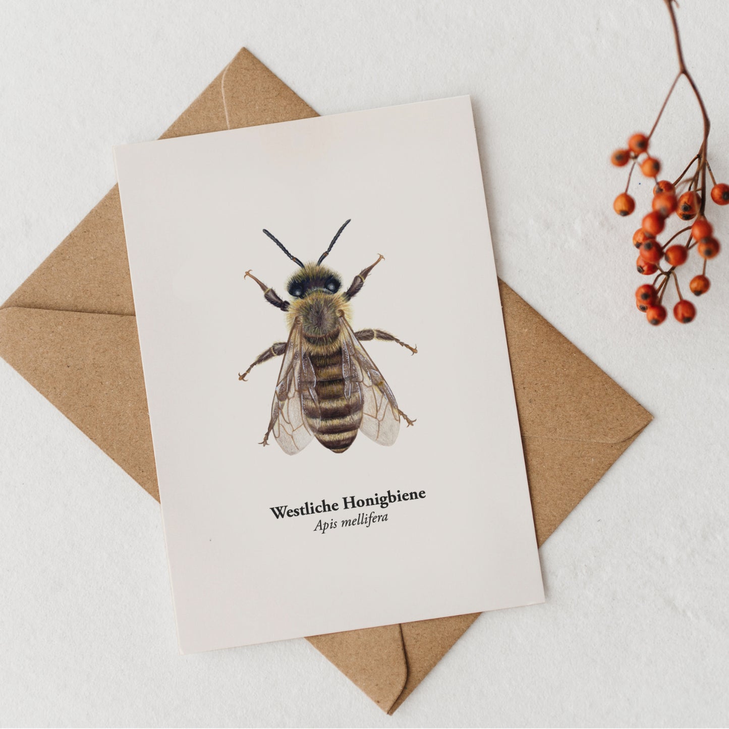 Honigbiene Postkarte mit Kraftpapierumschlag und roten Beeren, Naturpostkarte Bienen Illustration DIN A6