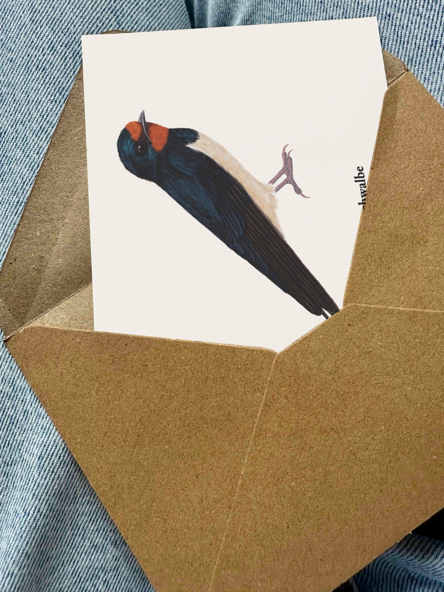 Postkarte mit Rauchschwalbe-Motiv in braunem Umschlag – Vogelzeichnung für Naturfreunde