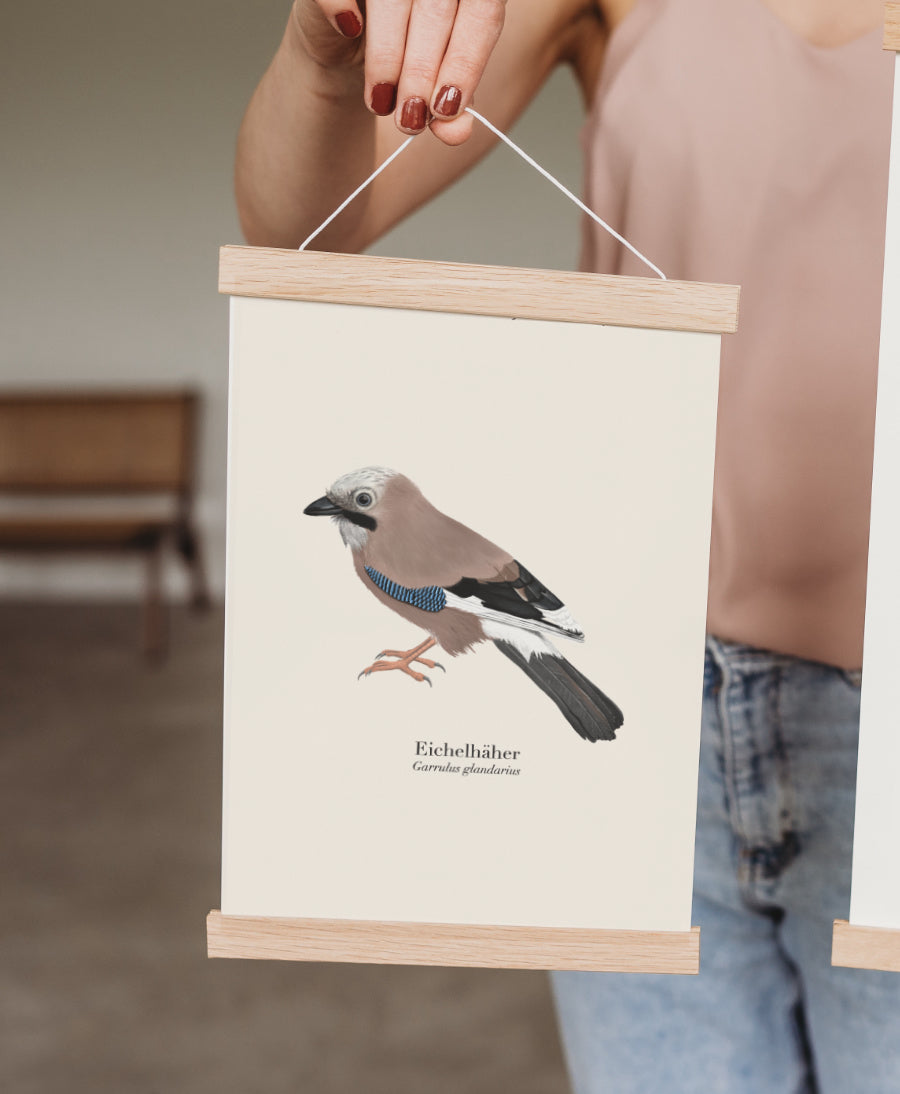 Eichelhäher Poster mit magnetischer Posterleiste aus Eichenholz, Hand hält Poster
