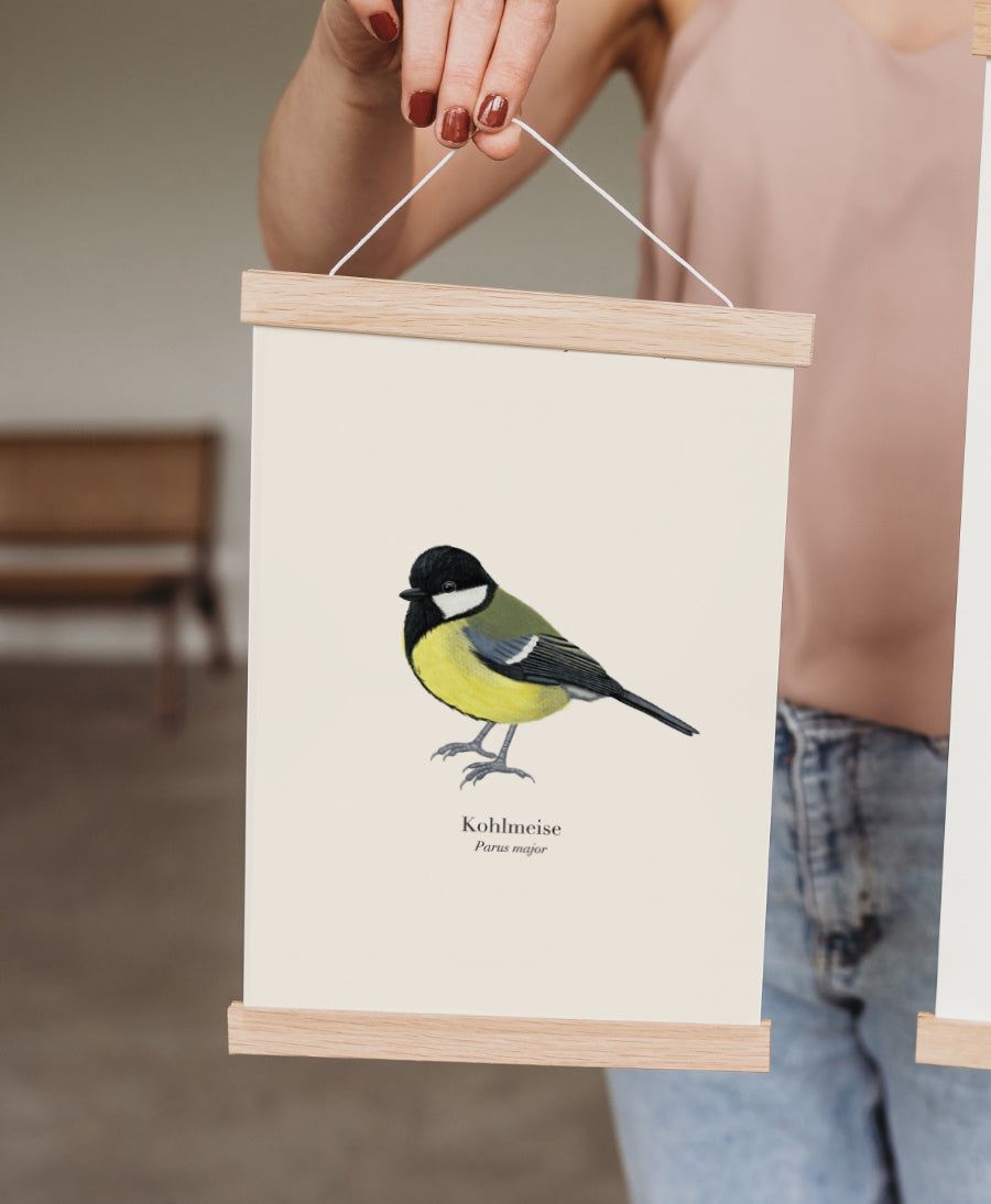 Kohlmeise Poster mit magnetischer Posterleiste aus Eichenholz, Hand hält Poster
