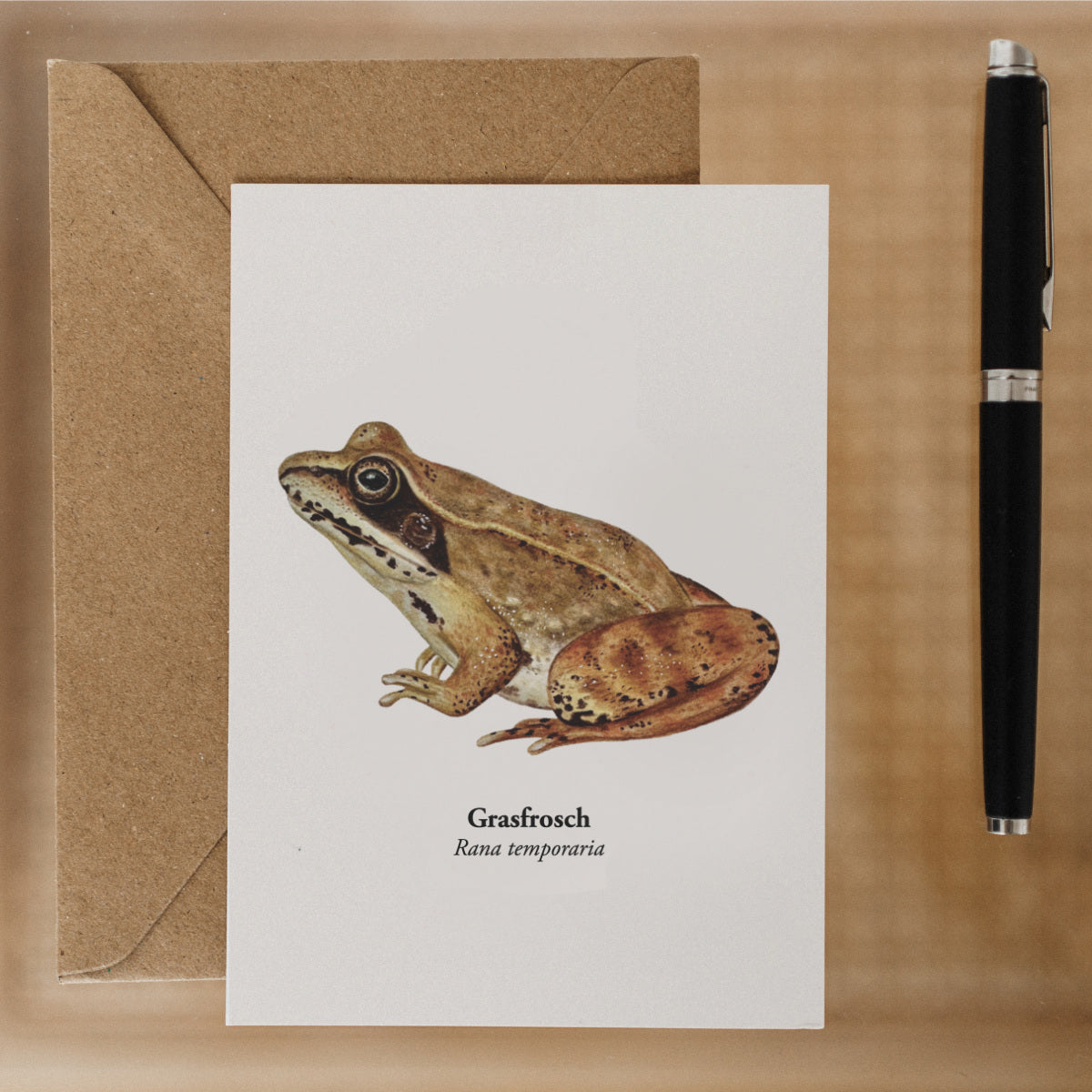 Grasfrosch Postkarte im Größenvergleich mit Stift