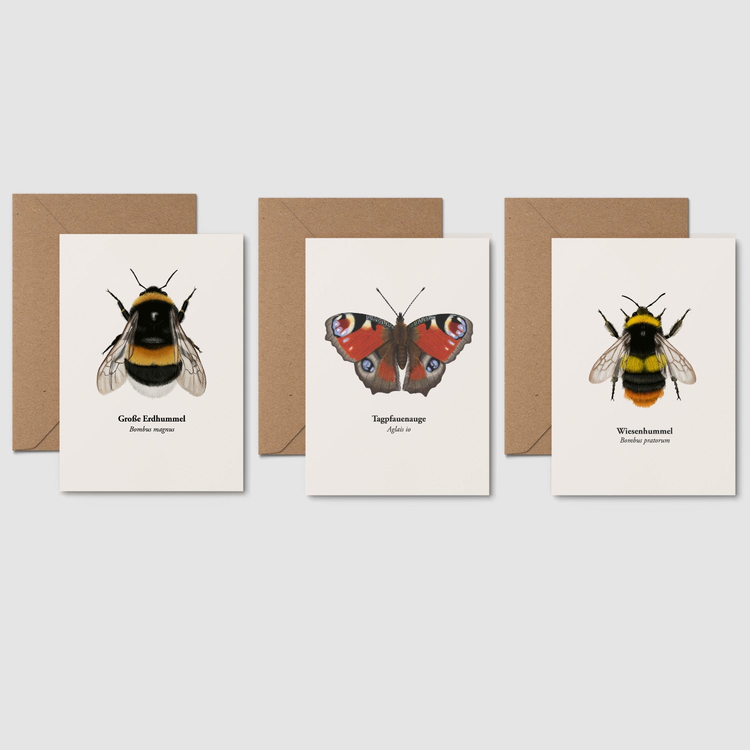 Natur Postkarten Set Hummel