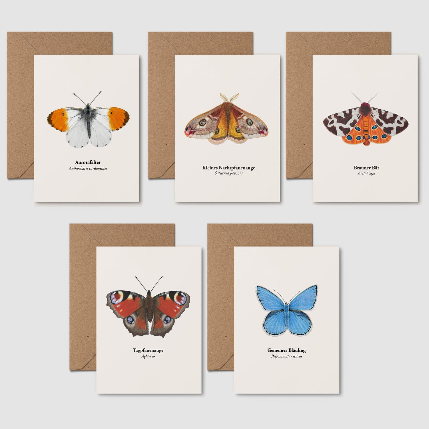 Postkarten Set Natur – 5 Karten selbst zusammenstellen | heimische Tiere