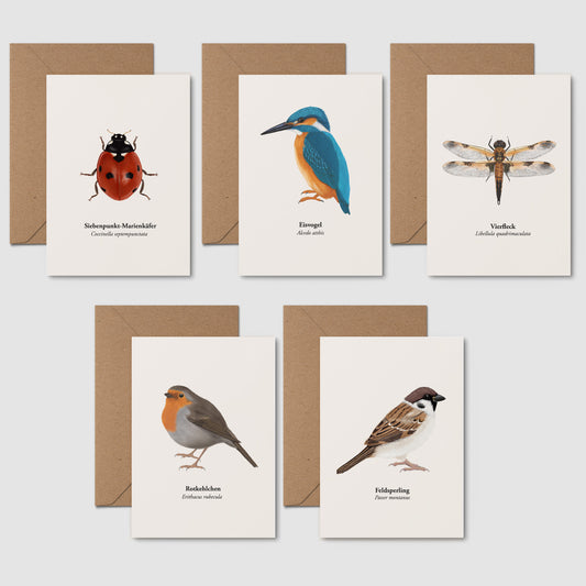 Postkarten Set Natur – 5 Karten selbst zusammenstellen | heimische Tiere