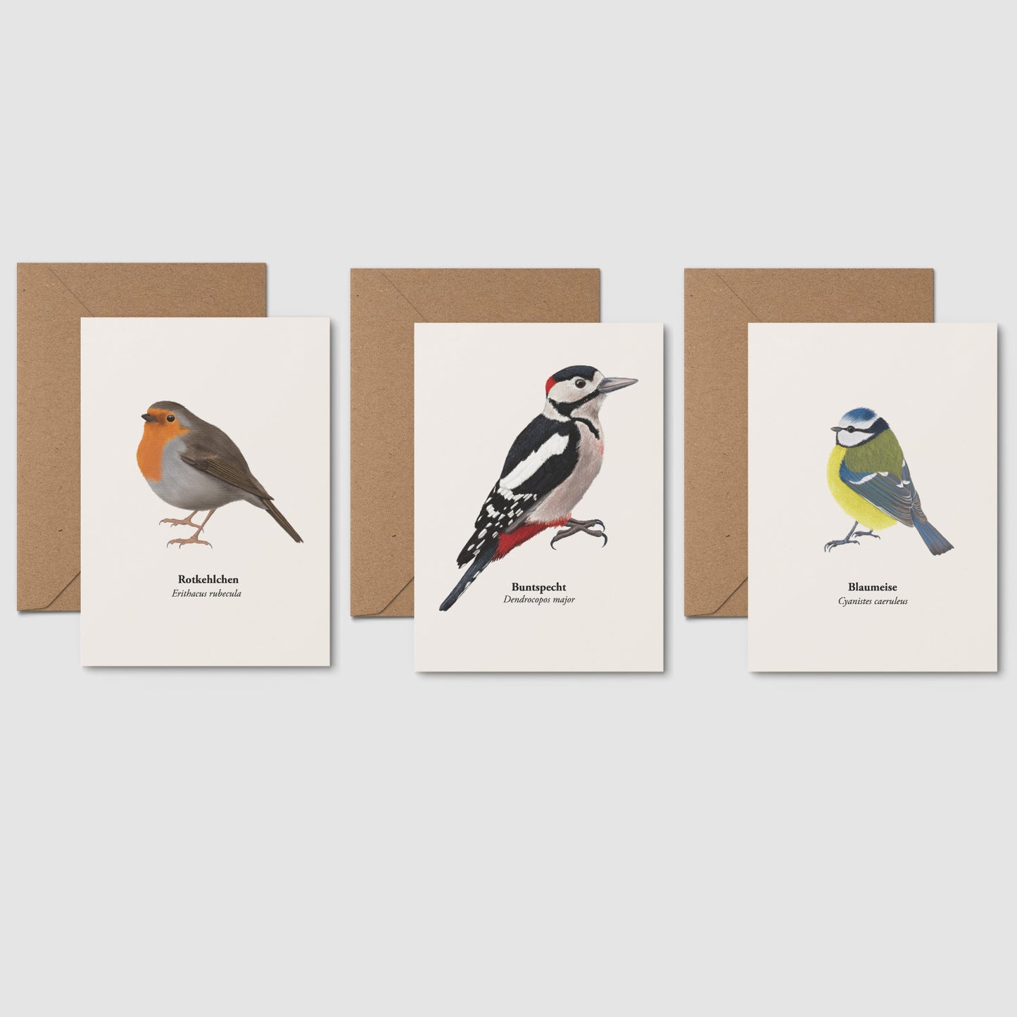 Postkarten Set Natur mit drei Vogelillustrationen – Rotkehlchen, Buntspecht und Blaumeise, jeweils mit Kraftpapierumschlag
