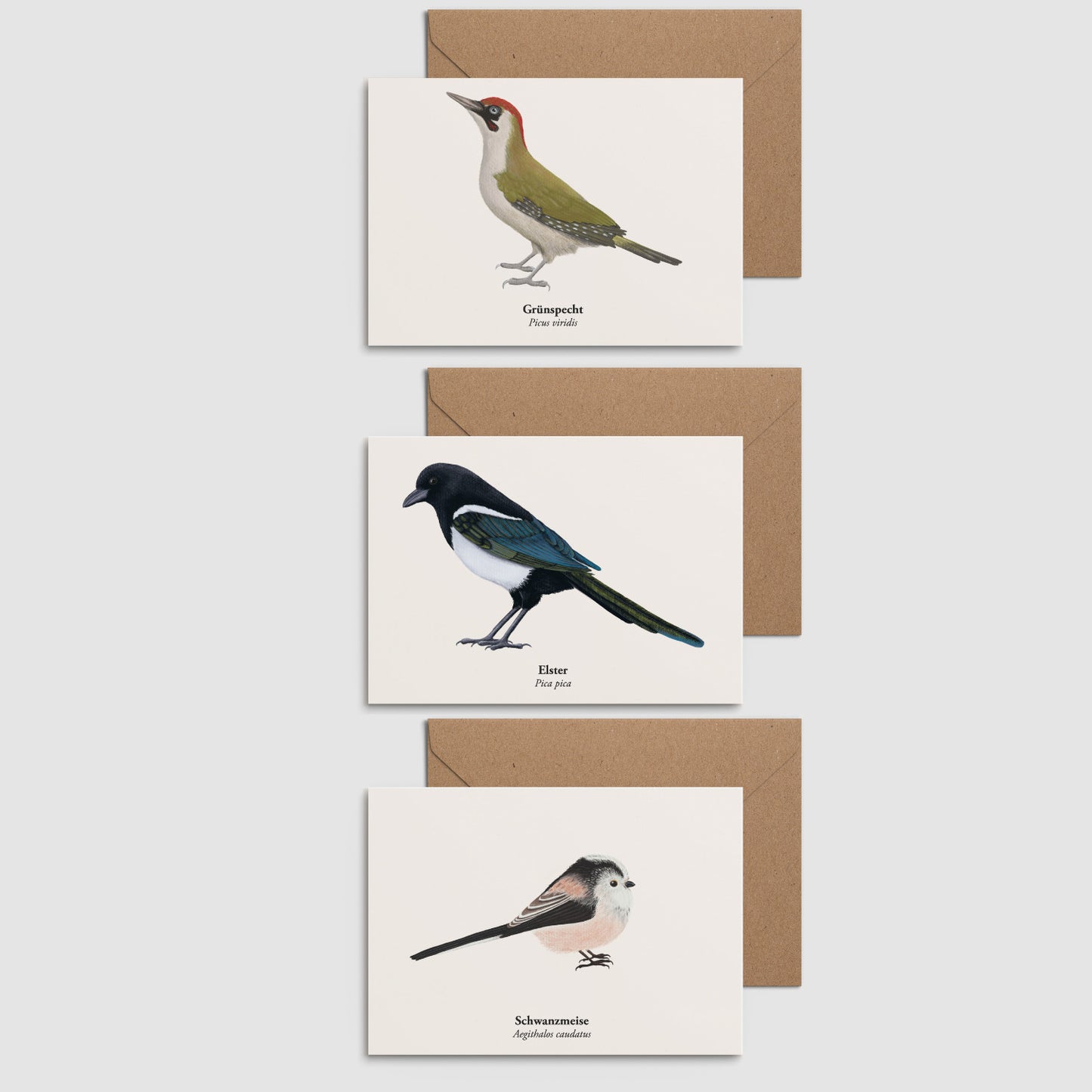 Postkarten Set Natur mit Grünspecht, Elster und Schwanzmeise – handgezeichnete Vogelillustrationen im A6 Format

