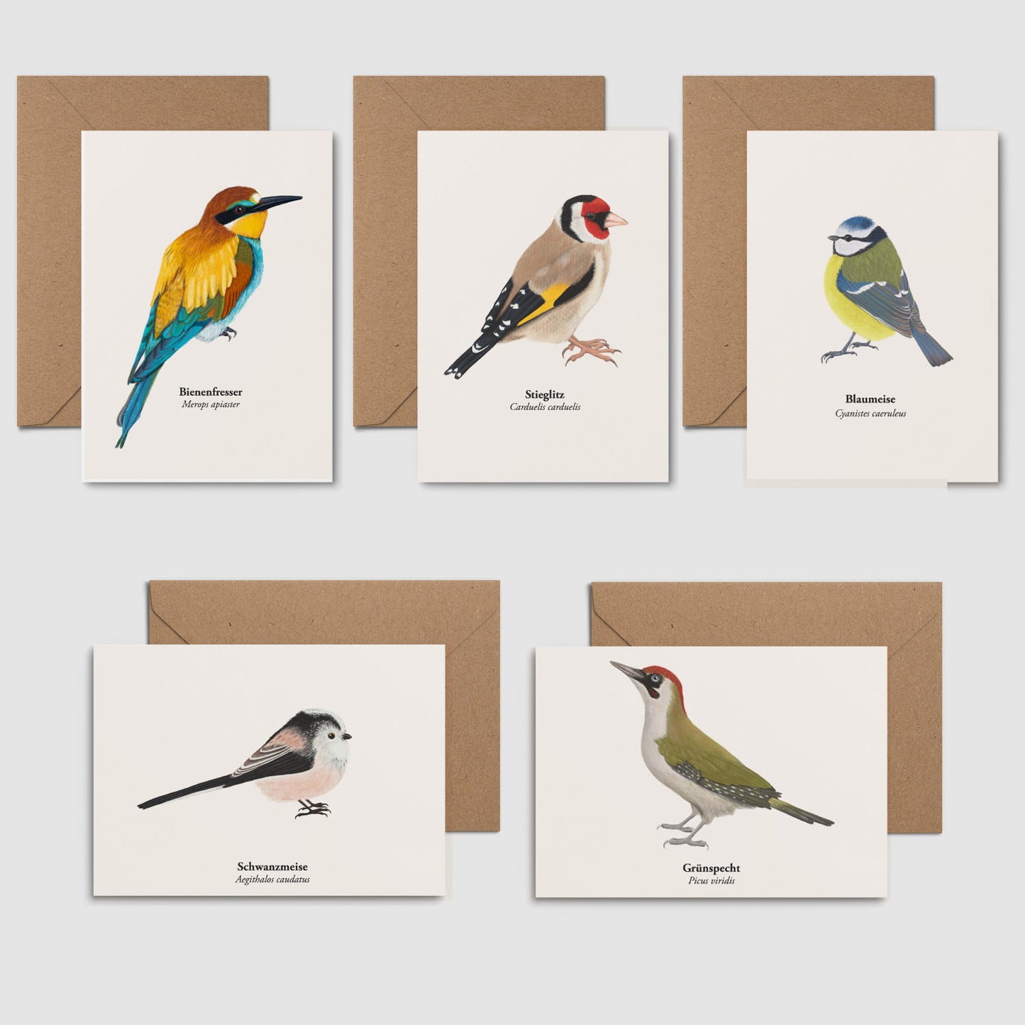 Postkarten Set Natur – 5 Karten selbst zusammenstellen | heimische Tiere