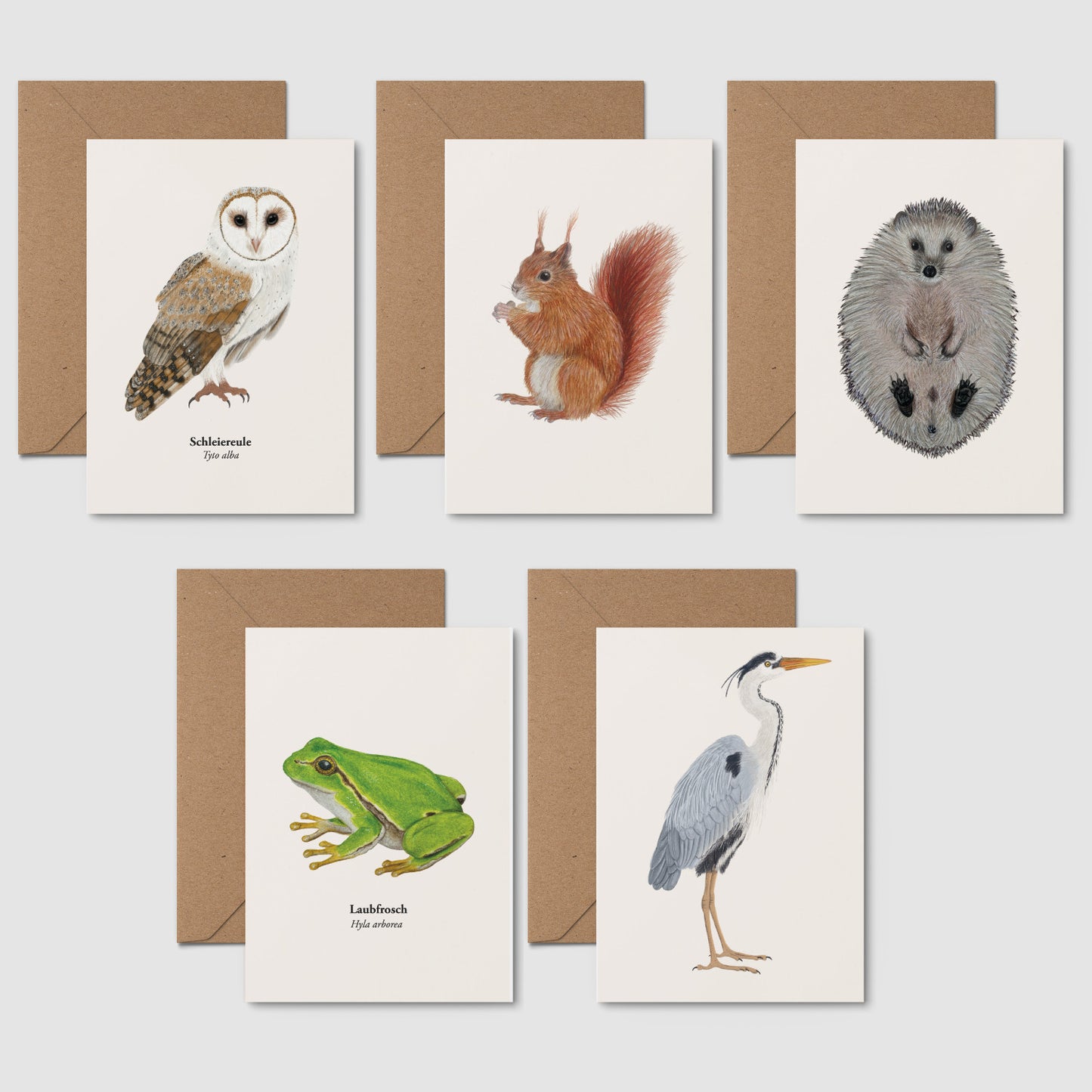 Postkarten Set Natur – 5 Karten selbst zusammenstellen | heimische Tiere