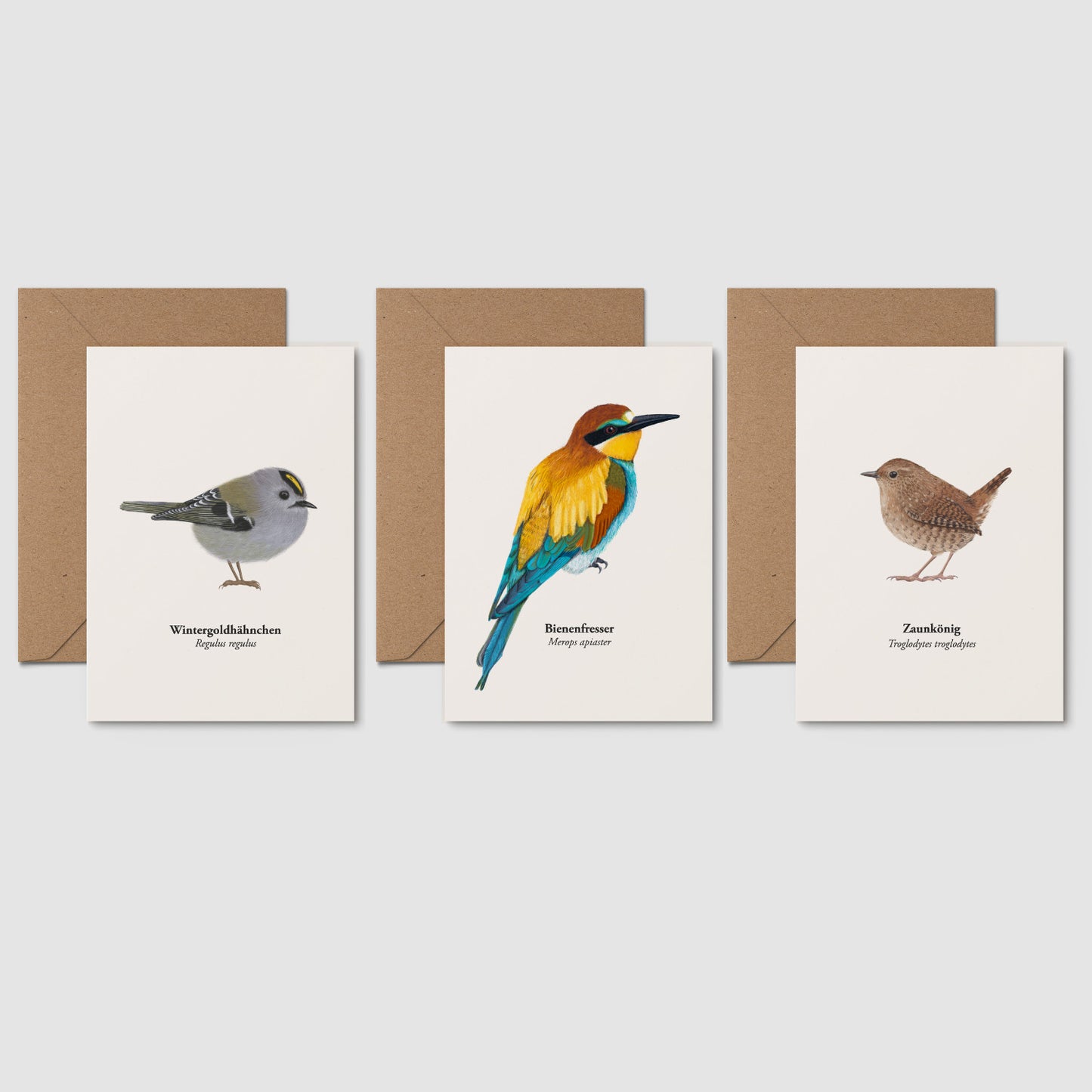 Natur Postkarten Set mit Wintergoldhähnchen, Bienenfresser und Zaunkönig – heimische Vogelarten illustriert von Terillu