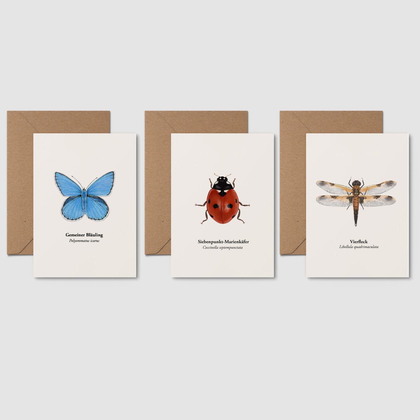 ostkarten Set heimische Insekten – Gemeiner Bläuling, Siebenpunkt-Marienkäfer und Vierfleck-Libelle, illustriert von Terillu