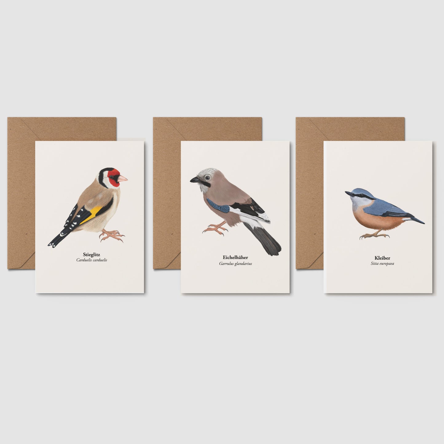 Postkarten Set Vögel mit Stieglitz, Eichelhäher und Kleiber – naturgetreue Illustrationen auf PEFC-zertifiziertem Papier