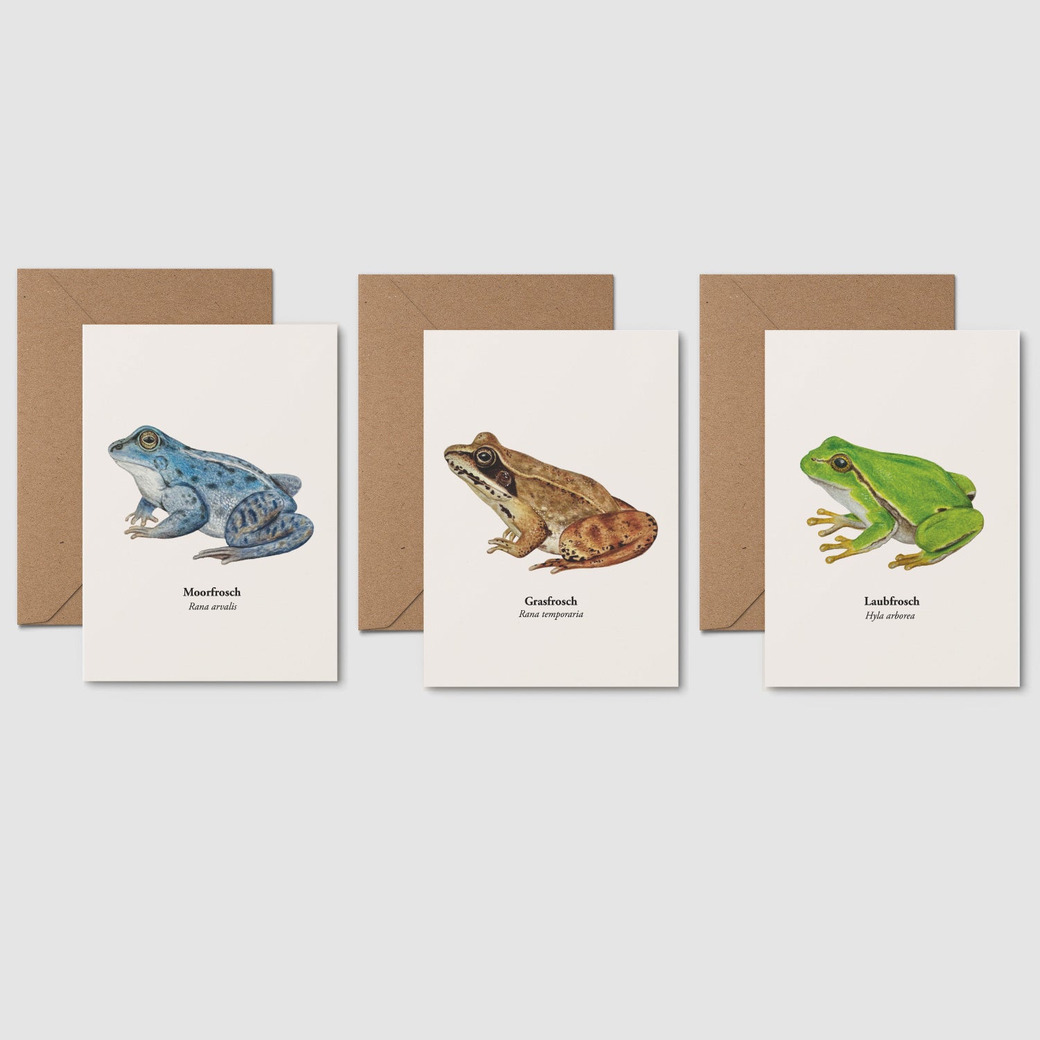 postkarten set heimische Froscharten