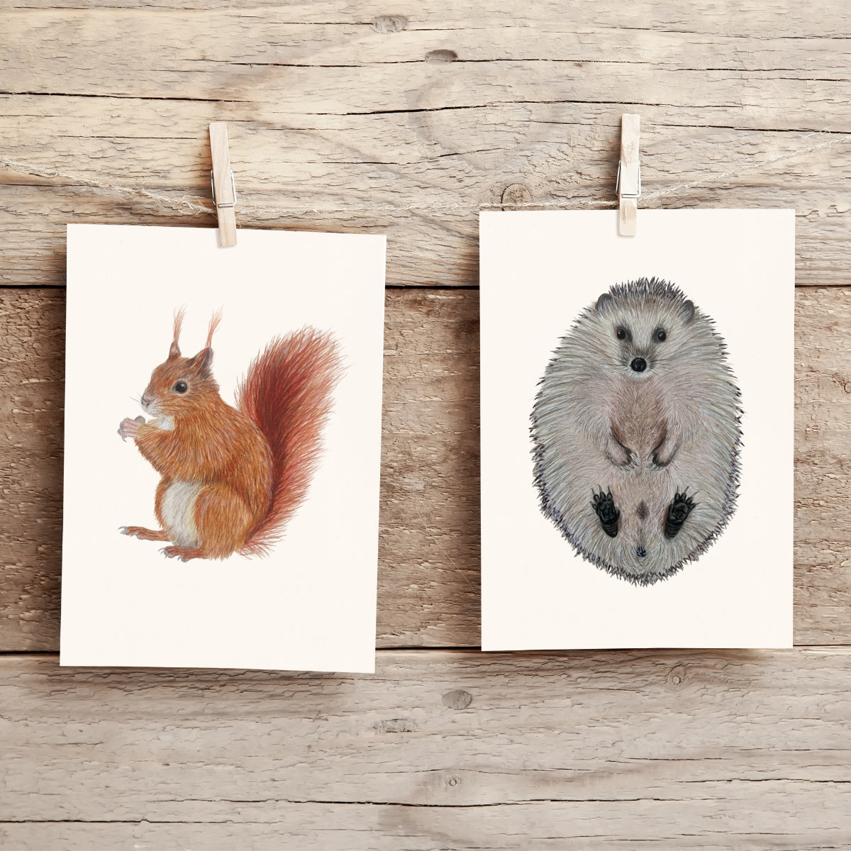 Postkarte mit Waldtier Illustration – Eichhörnchen als Naturmotiv im A6 Format
