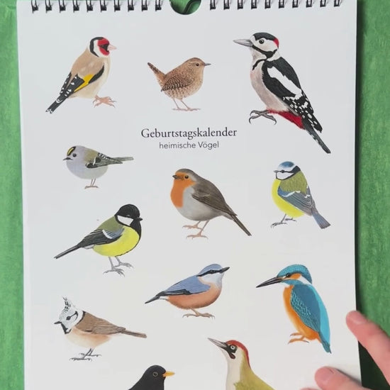 Immer grümer Vogelkalender