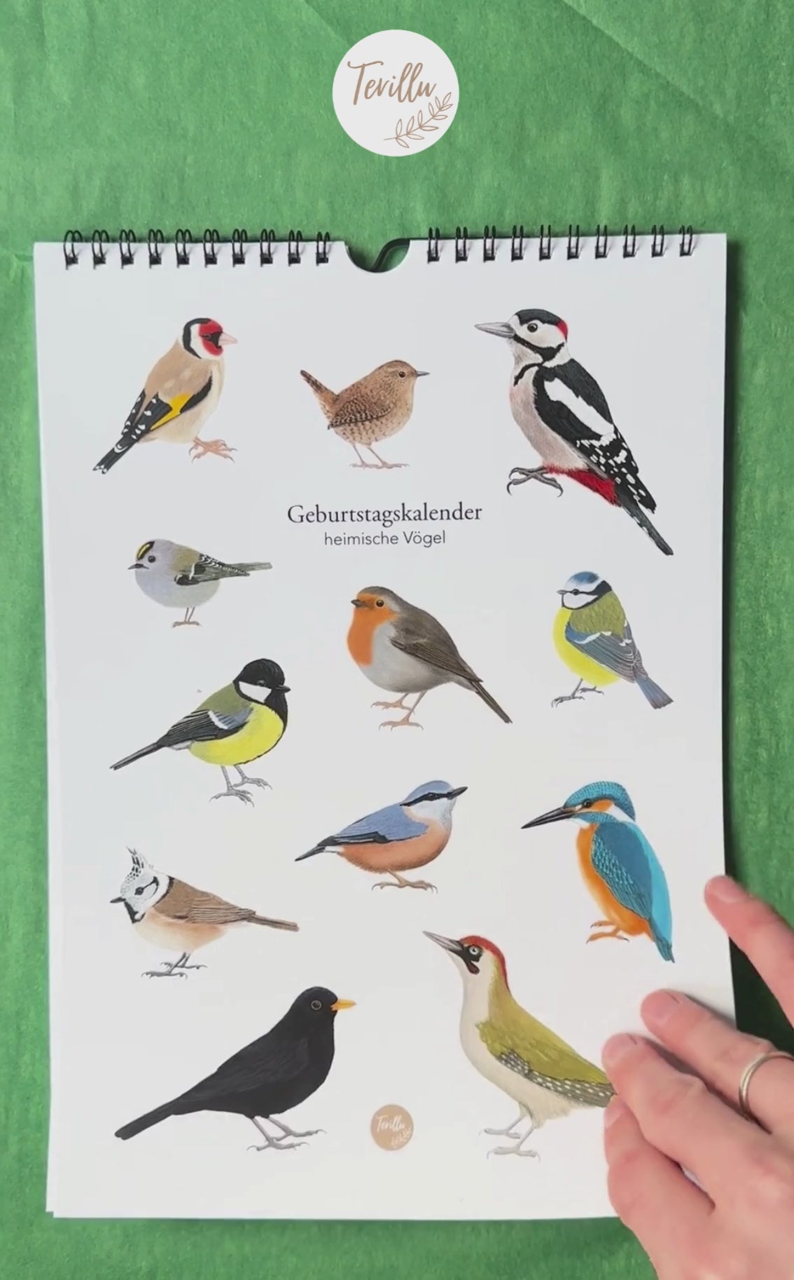 Immer grümer Vogelkalender