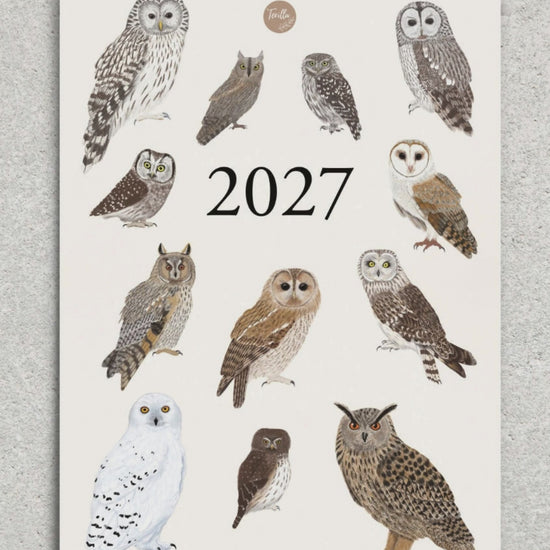 Einblick in den illustrierten Eulen-Wandkalender 2027 von Terillu mit zwölf handgezeichneten Eulenmotiven im A3-Format.