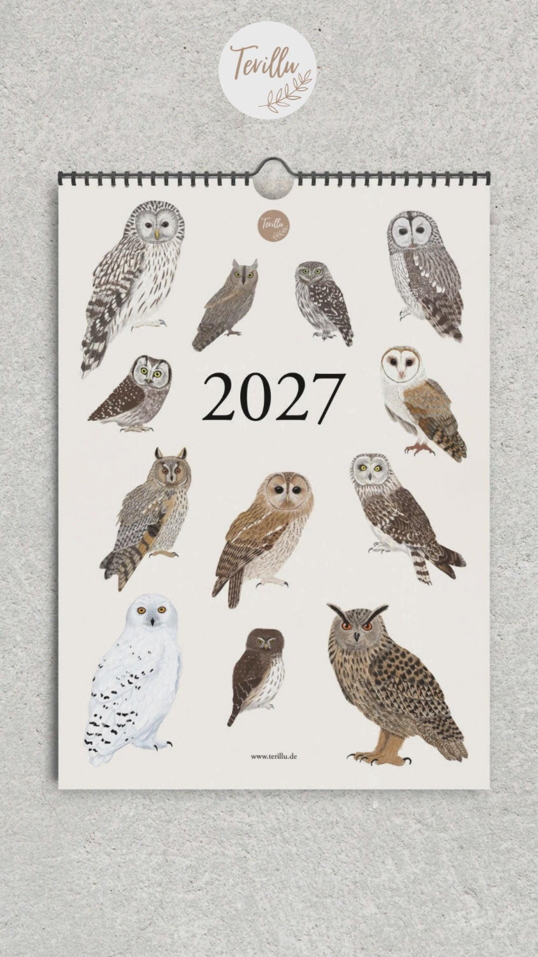 Einblick in den illustrierten Eulen-Wandkalender 2027 von Terillu mit zwölf handgezeichneten Eulenmotiven im A3-Format.