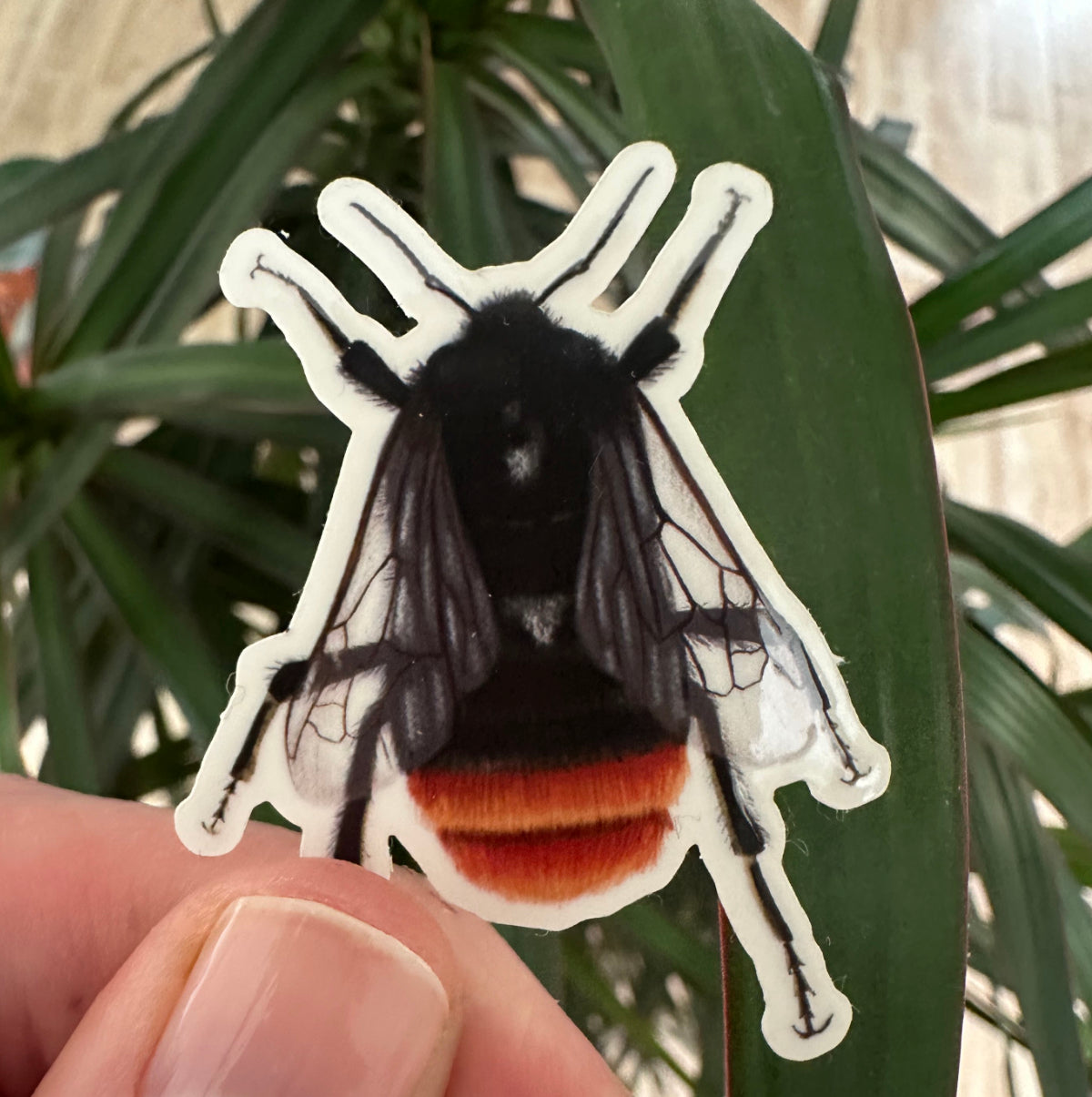 Hummel Vinyl Sticker Set – Naturmotive als Aufkleber für Laptop, Handy & mehr