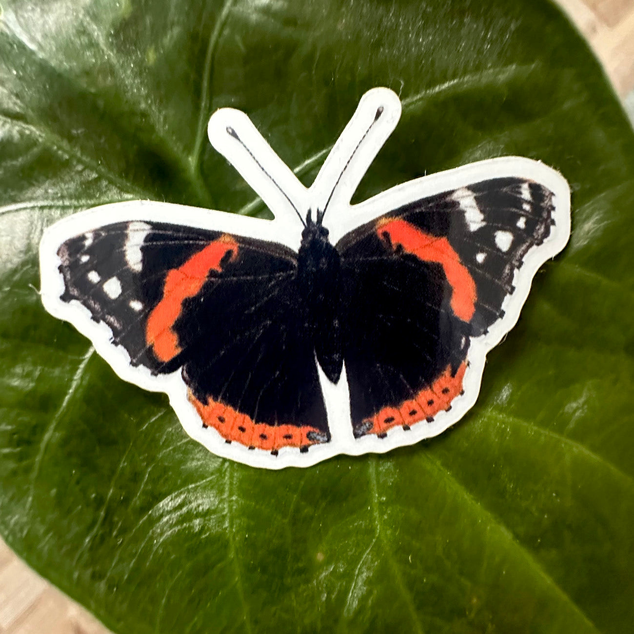 Admiral Schmetterling Sticker aus Vinyl mit detailreicher Naturillustration