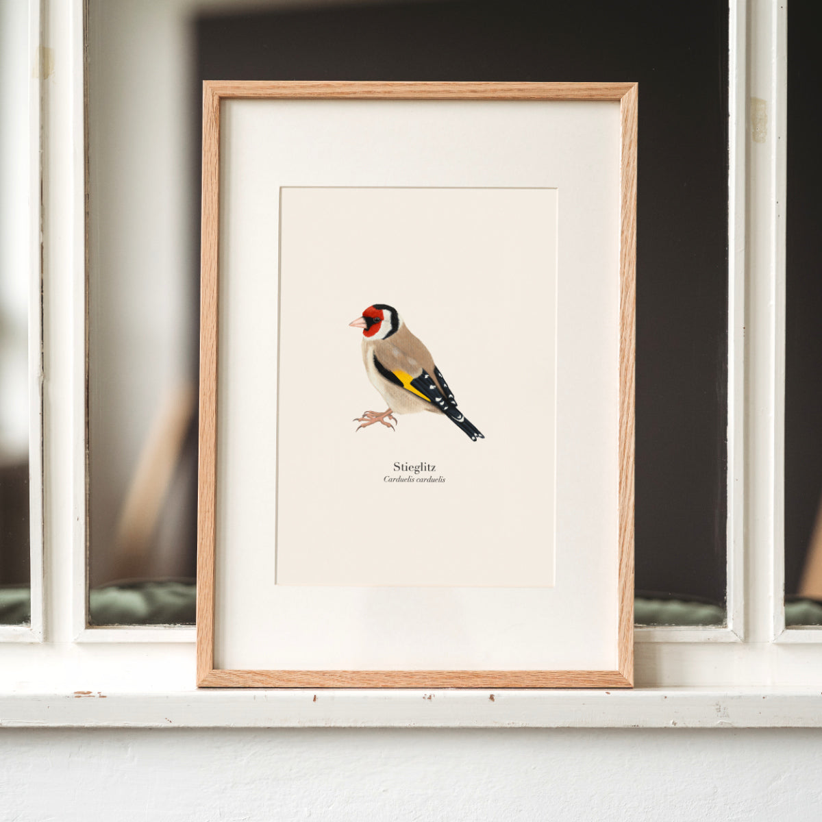 Stieglitz Poster A4 im Holzrahmen mit Passepartout, Vogel Illustration Carduelis carduelis