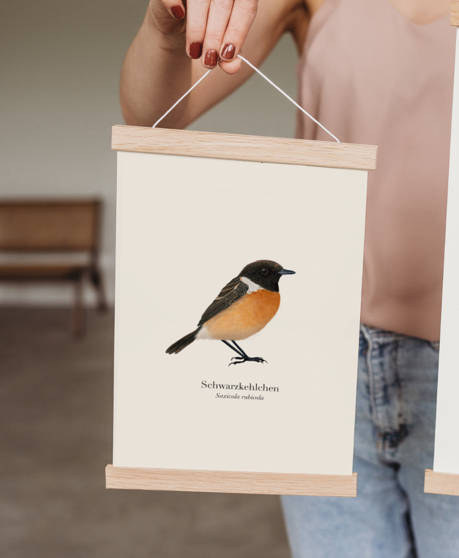 Schwarzkehlchen Poster – Illustration mit Posterleiste aus Holz